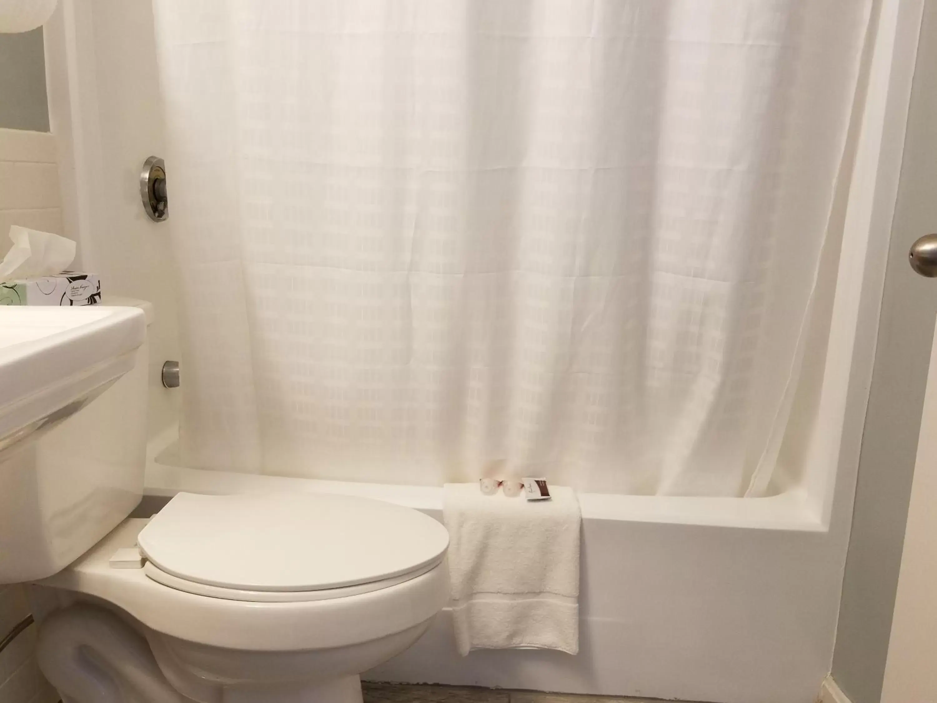 Shower, Bathroom in Hampton Village Inn