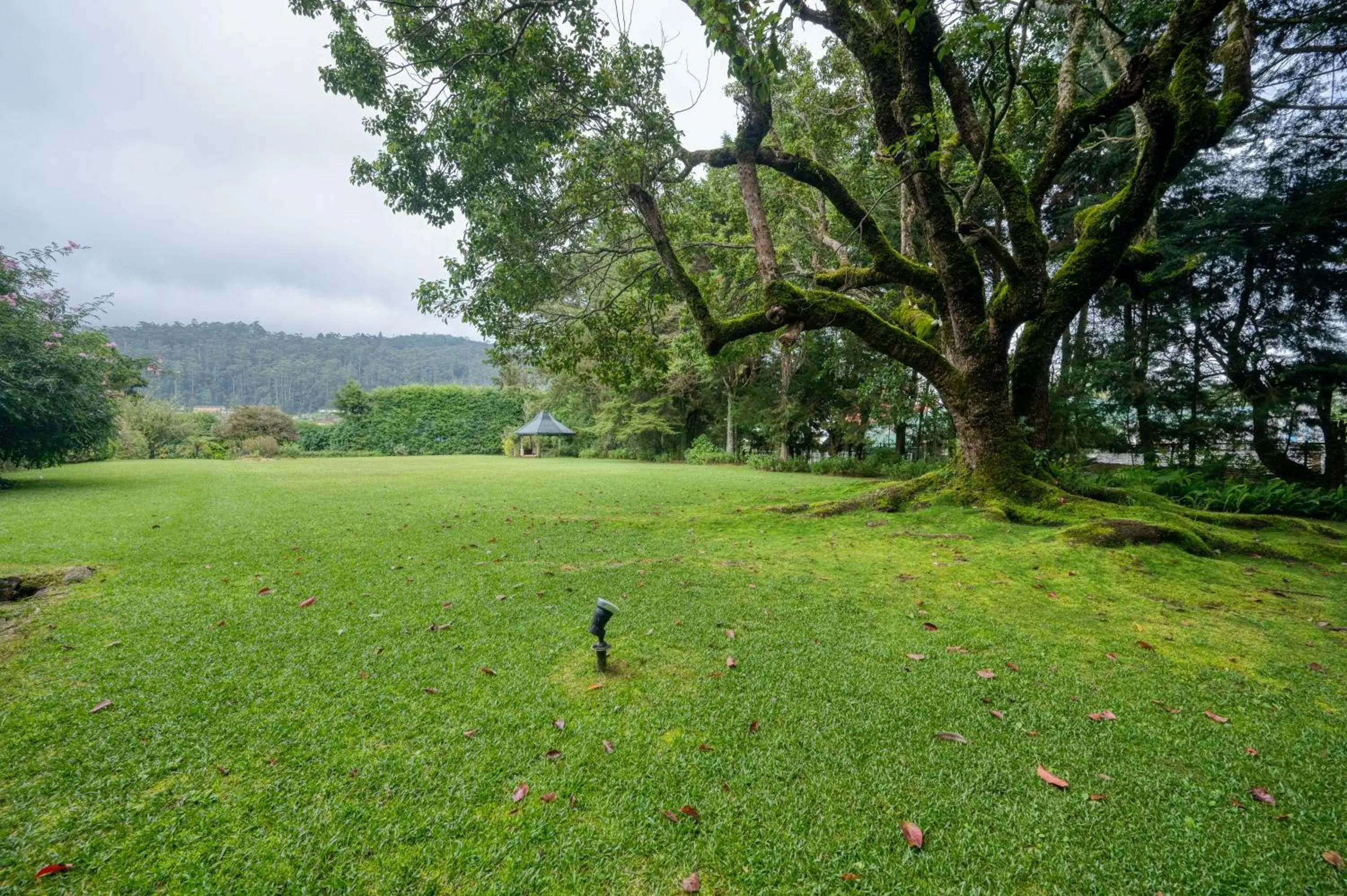 Garden in Ferncliff Bungalow