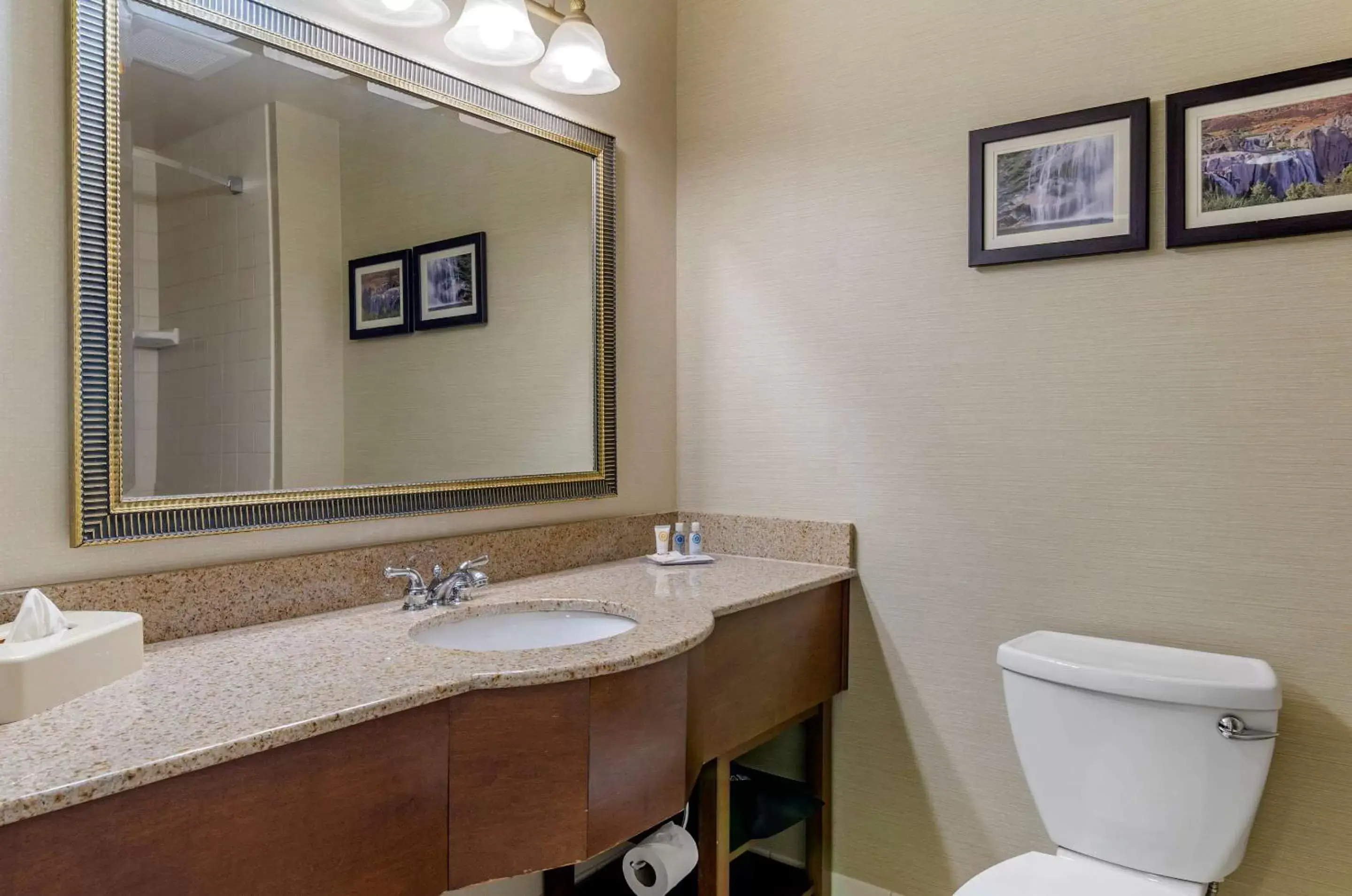 Photo of the whole room, Bathroom in Comfort Inn & Suites Jerome - Twin Falls