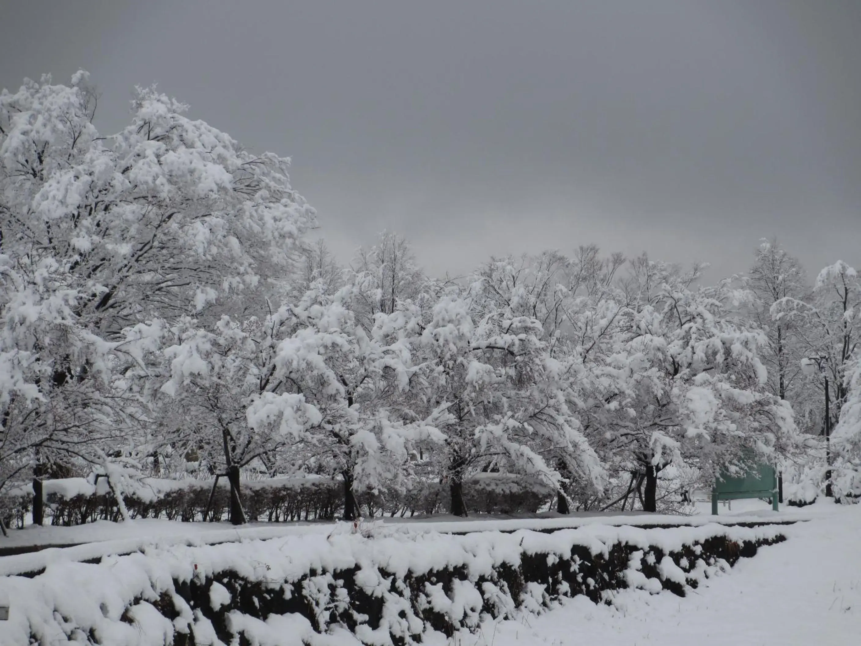 Off site, Winter in Lakeland Hotel Mizunosato