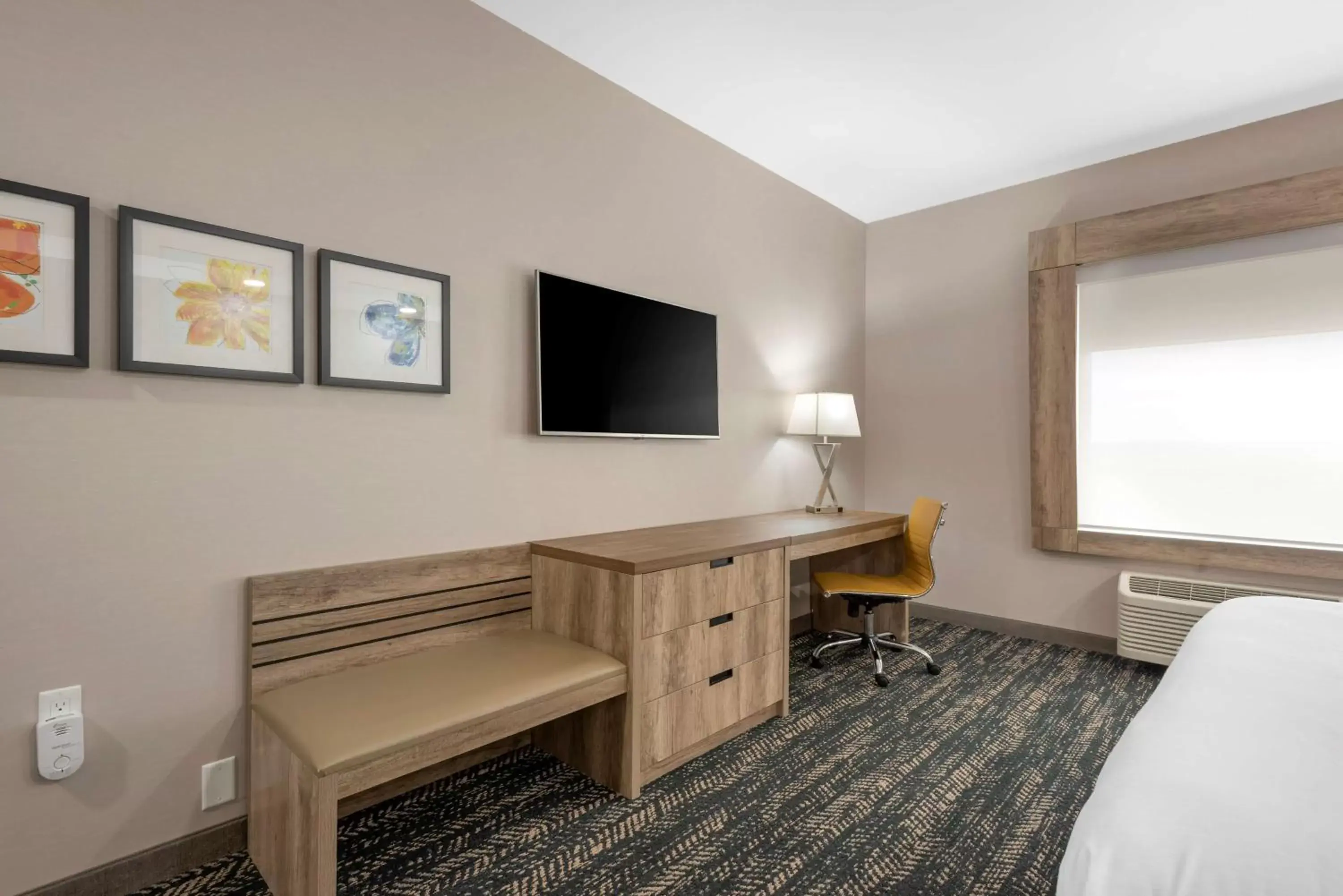 Bedroom, TV/Entertainment Center in Best Western Premier Executive Residency Medicine Hat