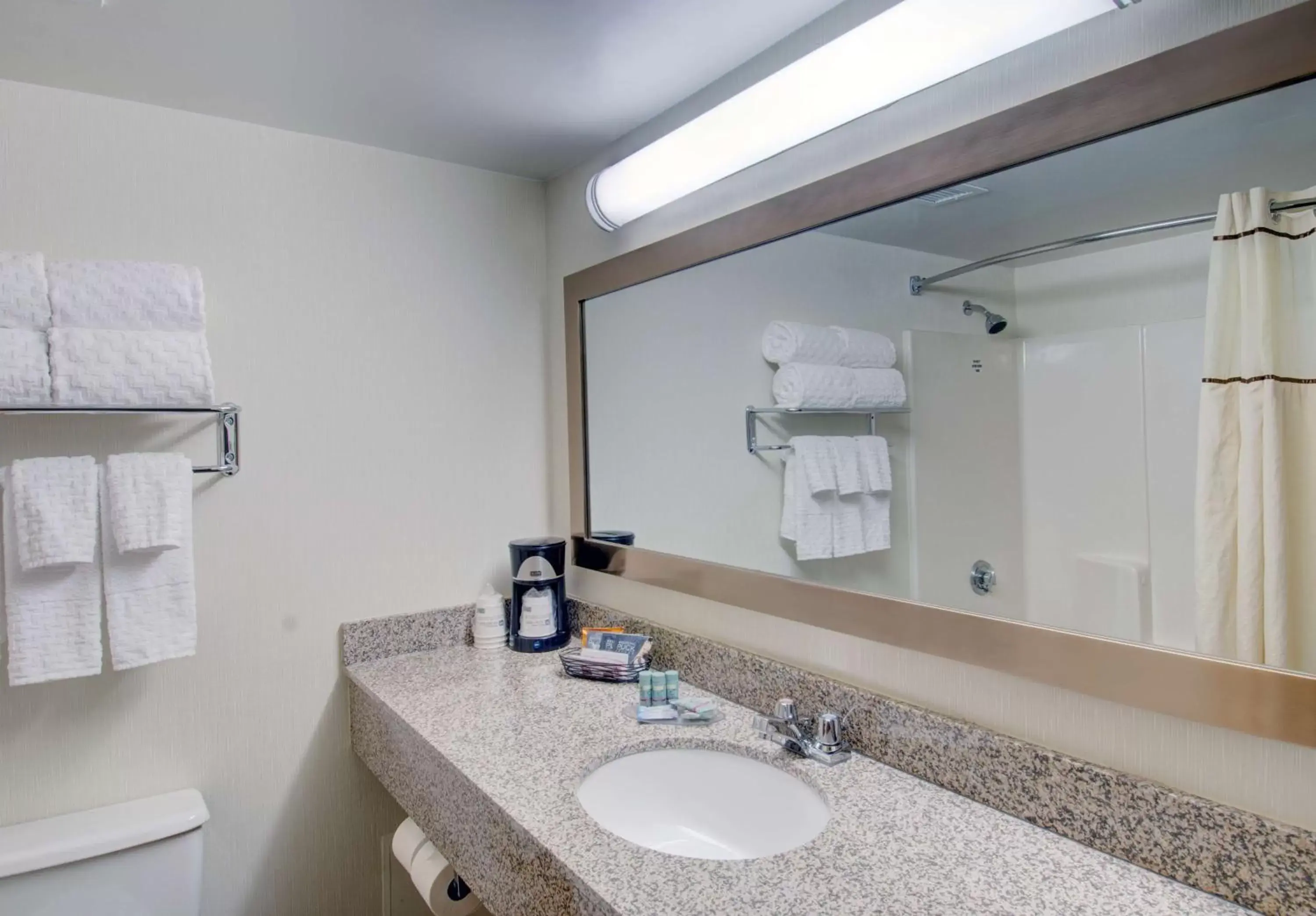 Bathroom in Best Western Royal Plaza Hotel and Trade Center