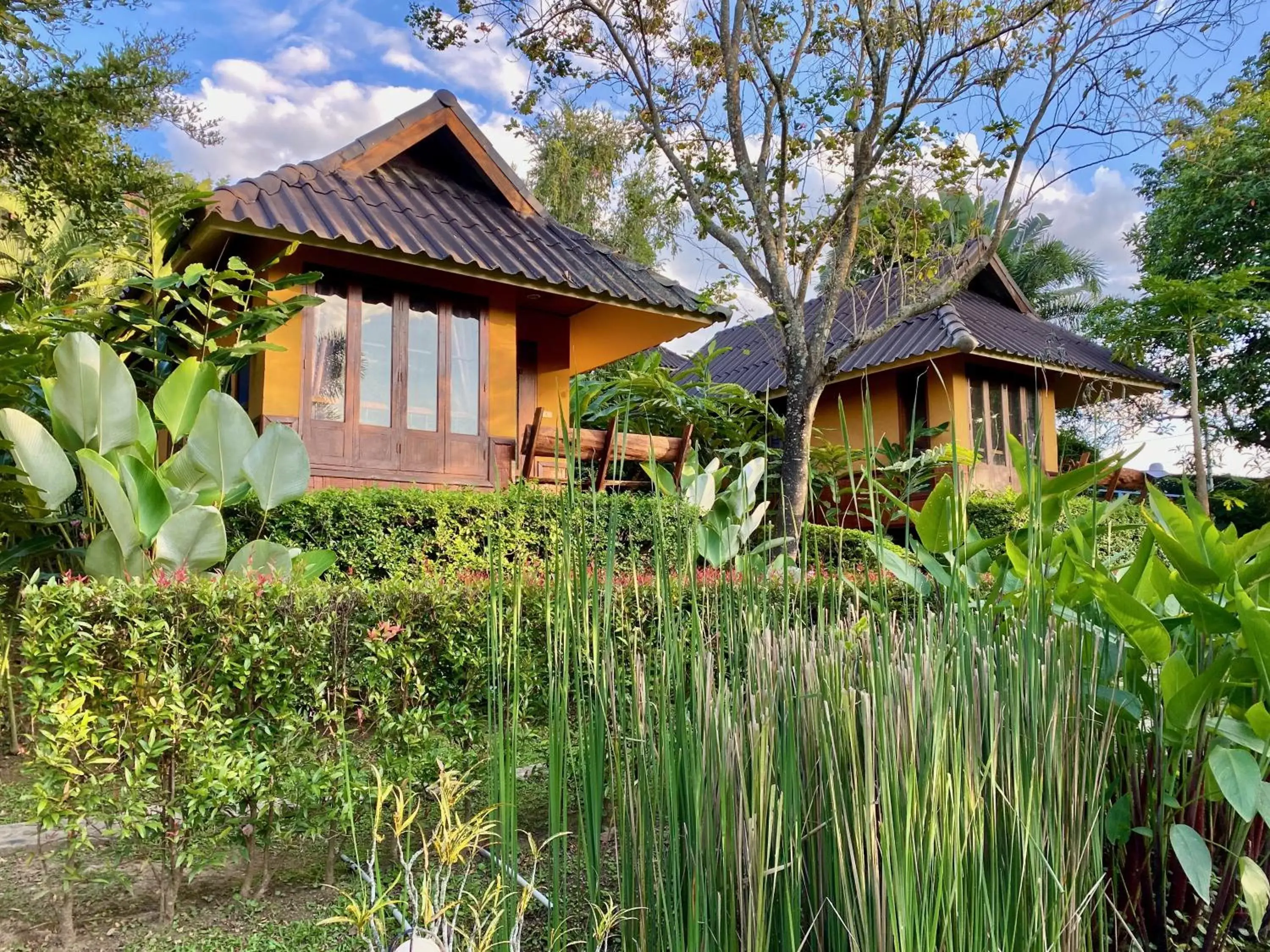 Property Building in Pura Vida Pai Resort