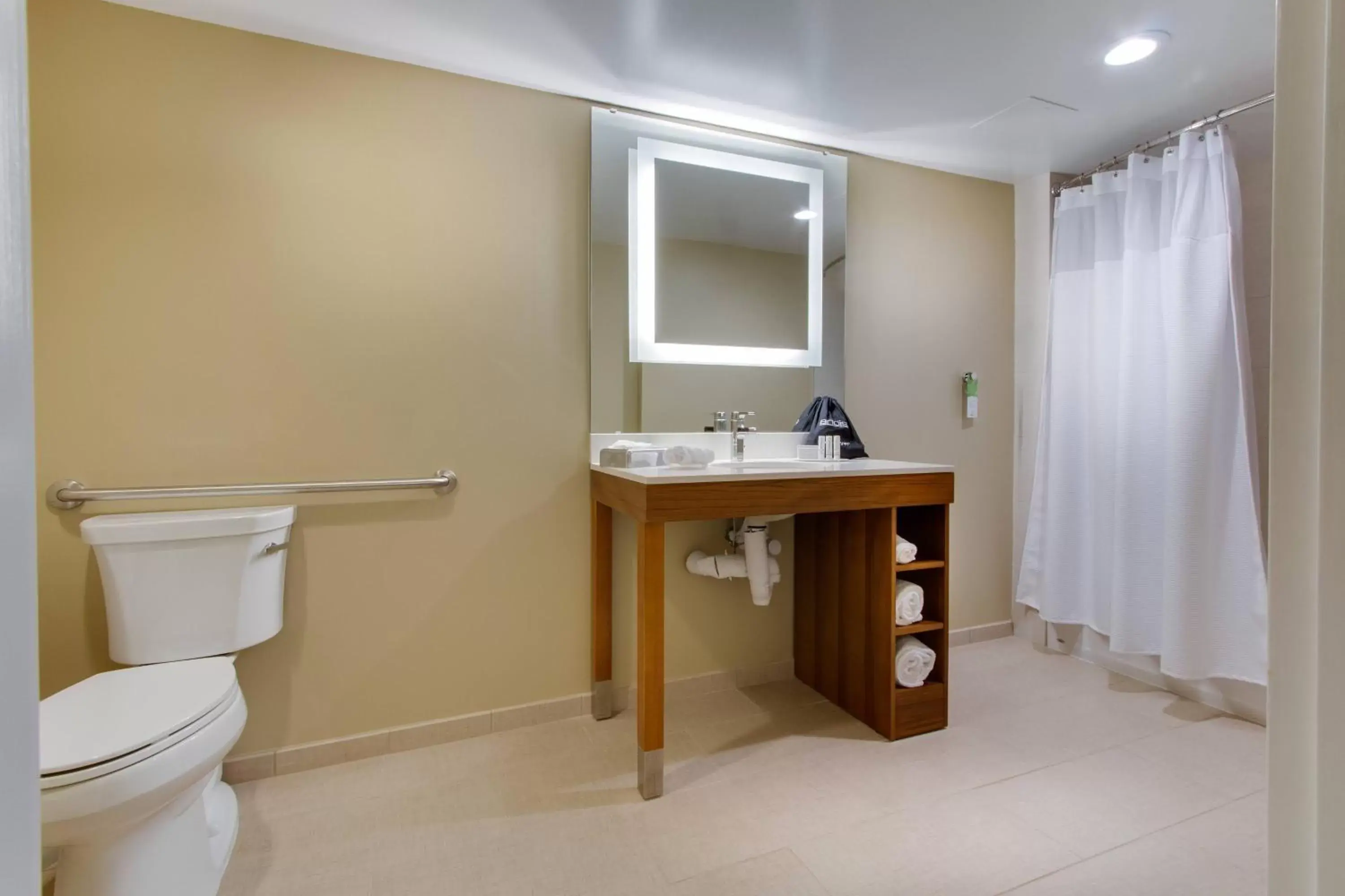 Bathroom in SpringHill Suites by Marriott Orlando Lake Buena Vista South