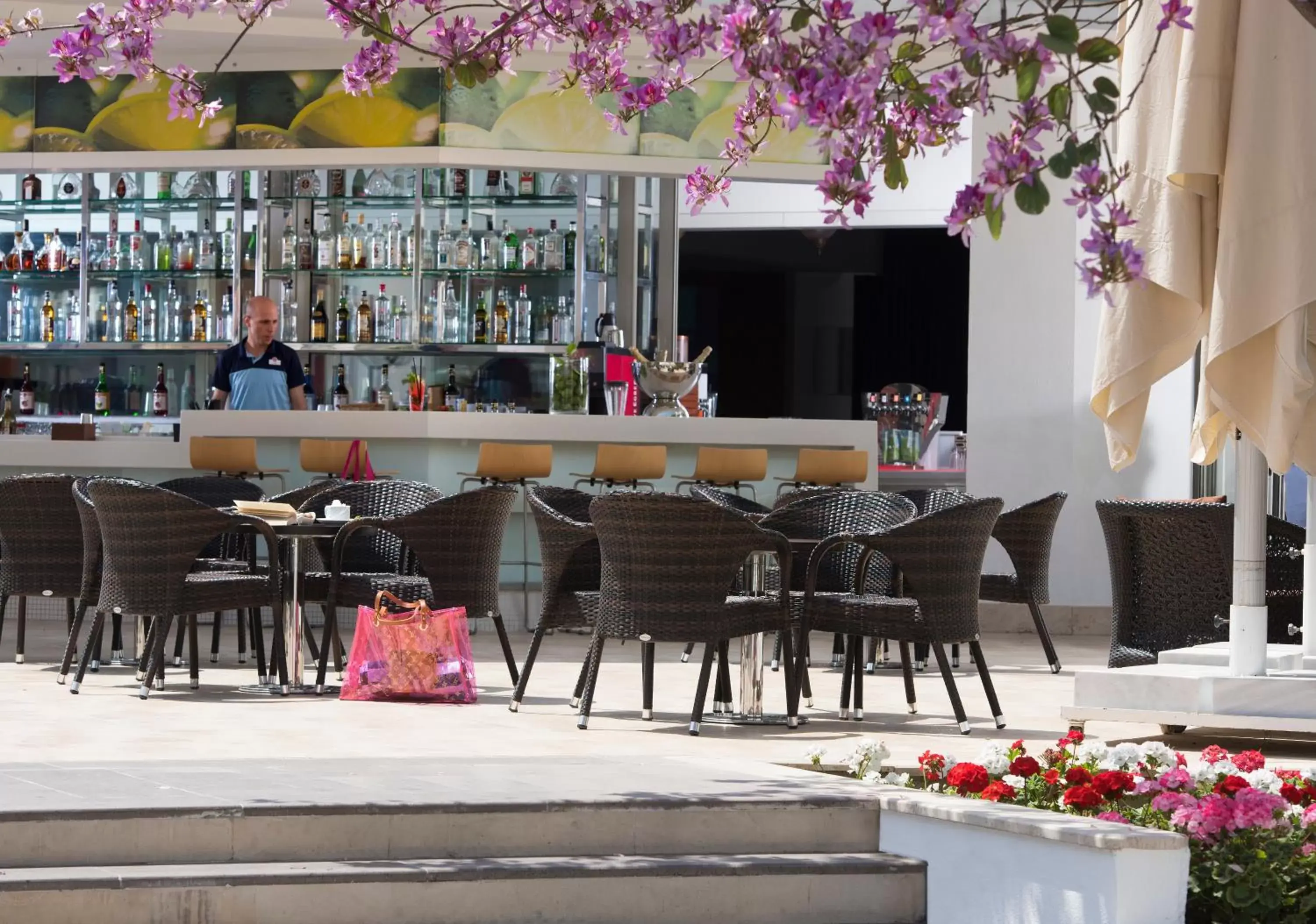 Lounge or bar, Lounge/Bar in Barut B Suites