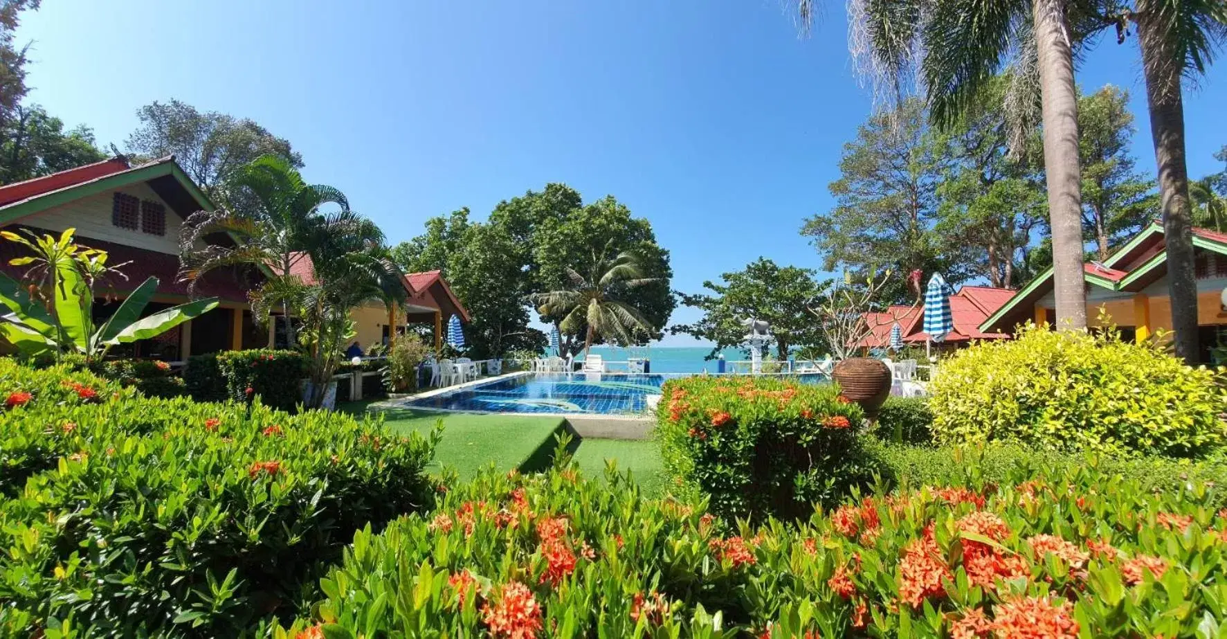 Pool view in Penny's Resort Pool view in Penny's Resort