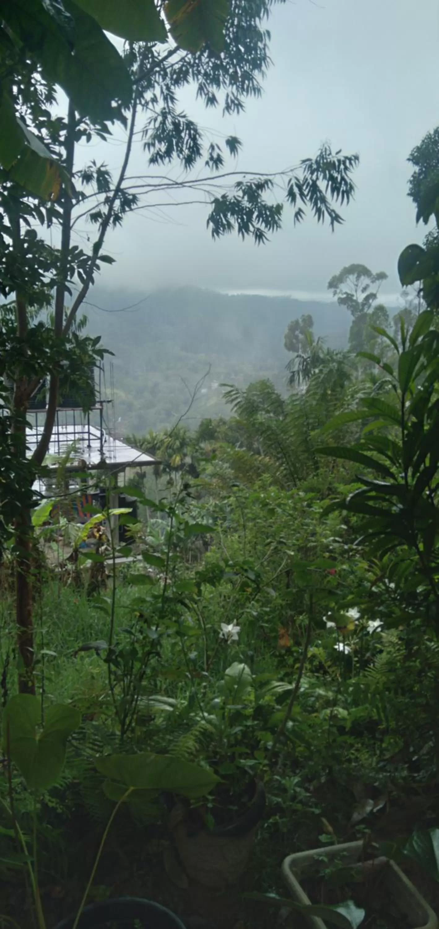 Natural landscape in Malithis lodge