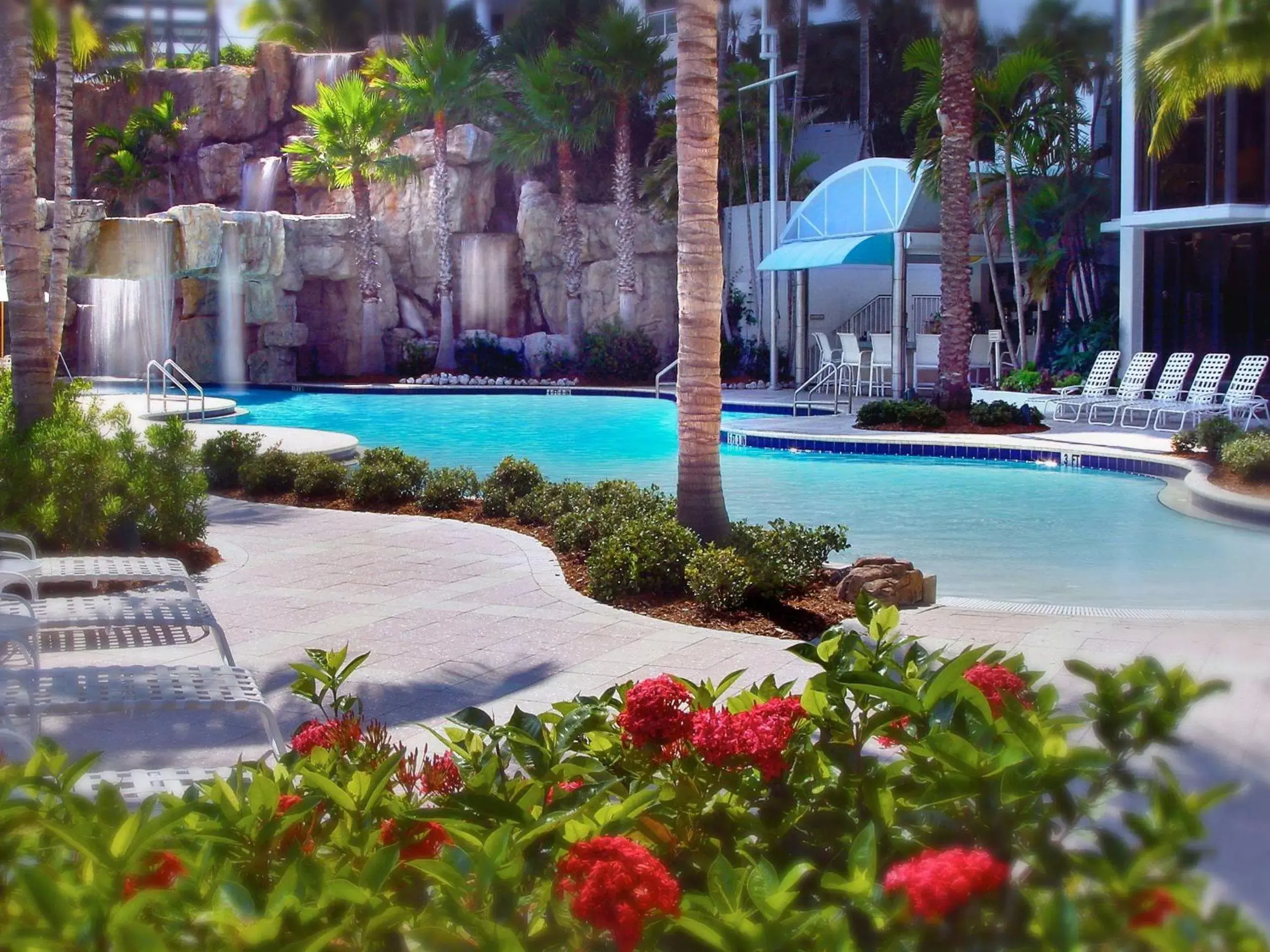 On site, Swimming Pool in Hyatt Regency Sarasota