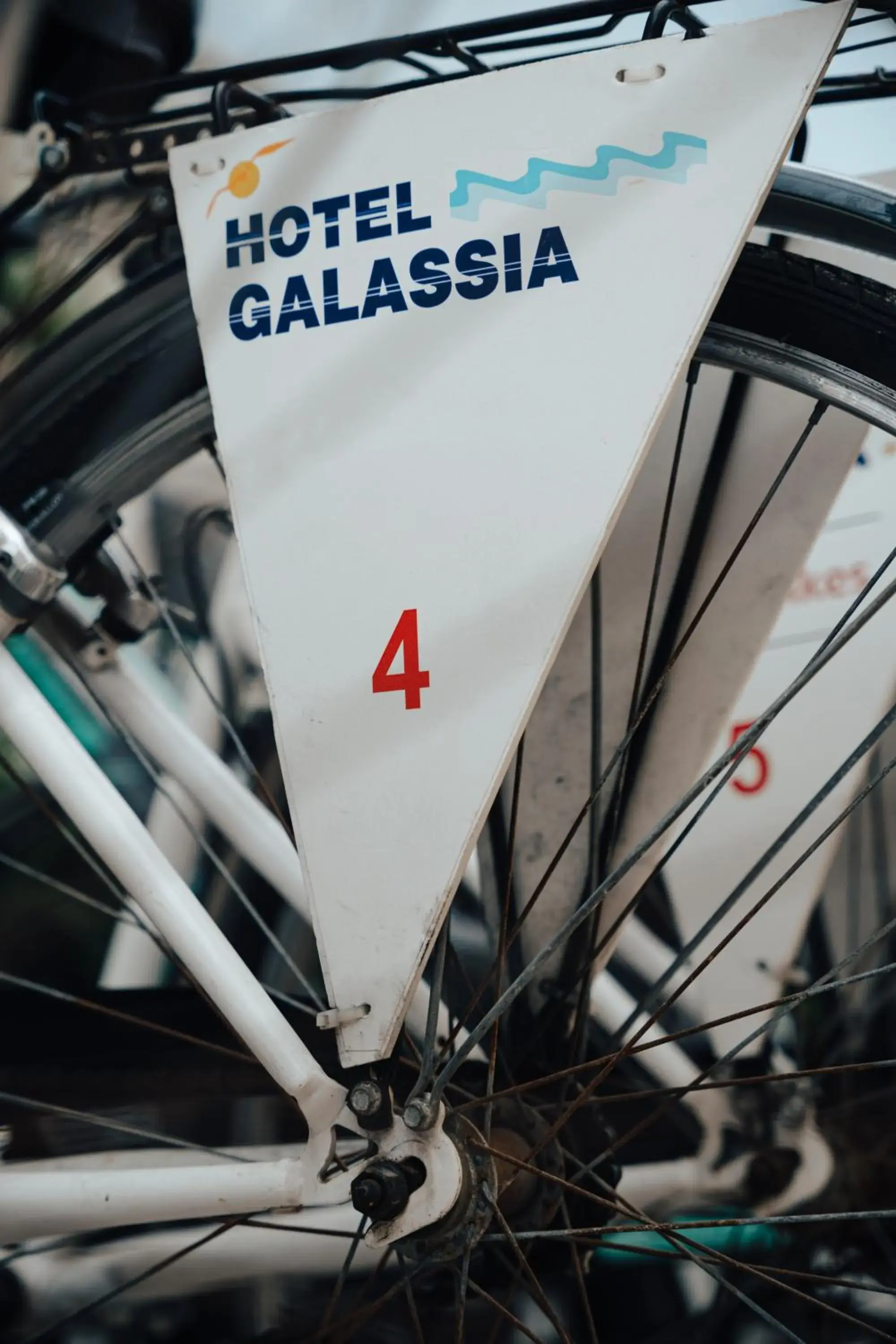 Cycling in Hotel Galassia Suites & Spa