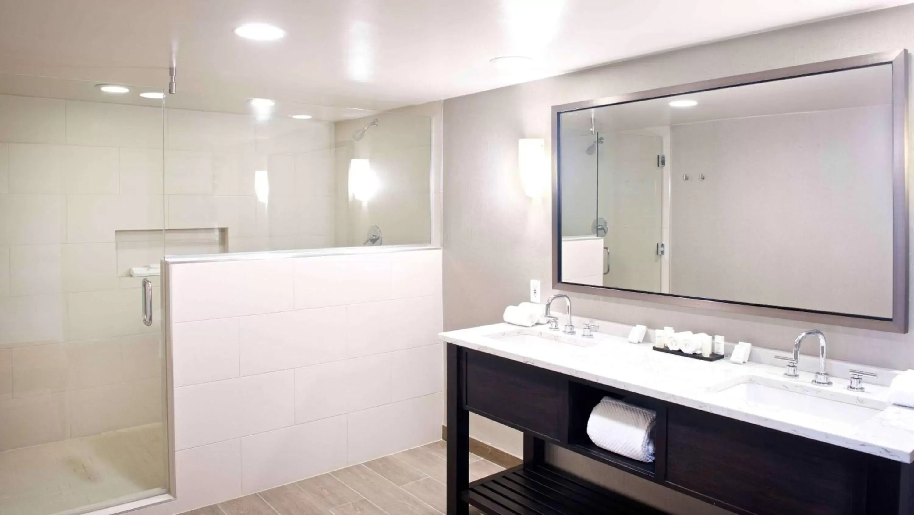 Bed, Bathroom in Embassy Suites by Hilton Detroit - Livonia/Novi