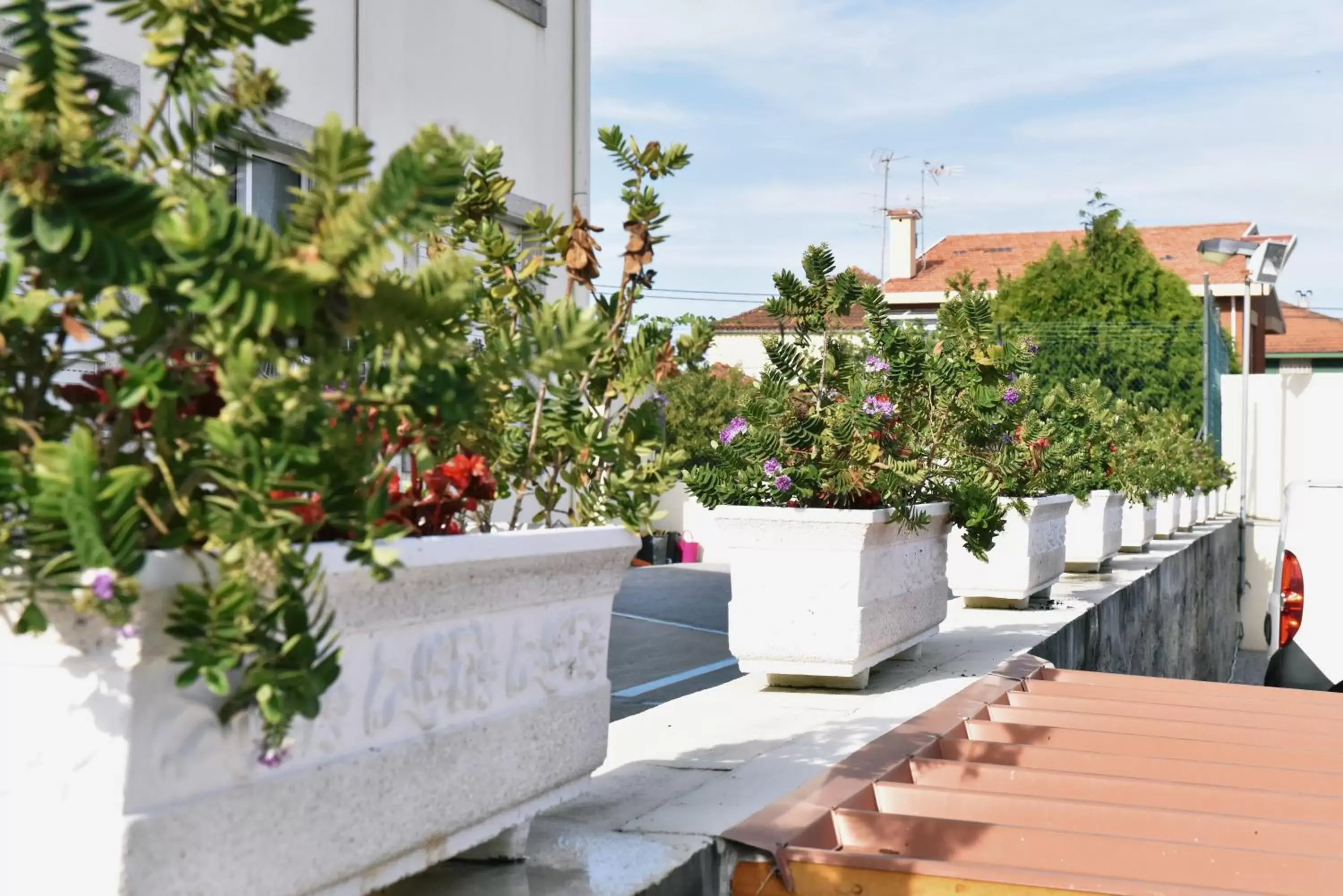 Day, Patio/Outdoor Area in Hotel Aeroporto