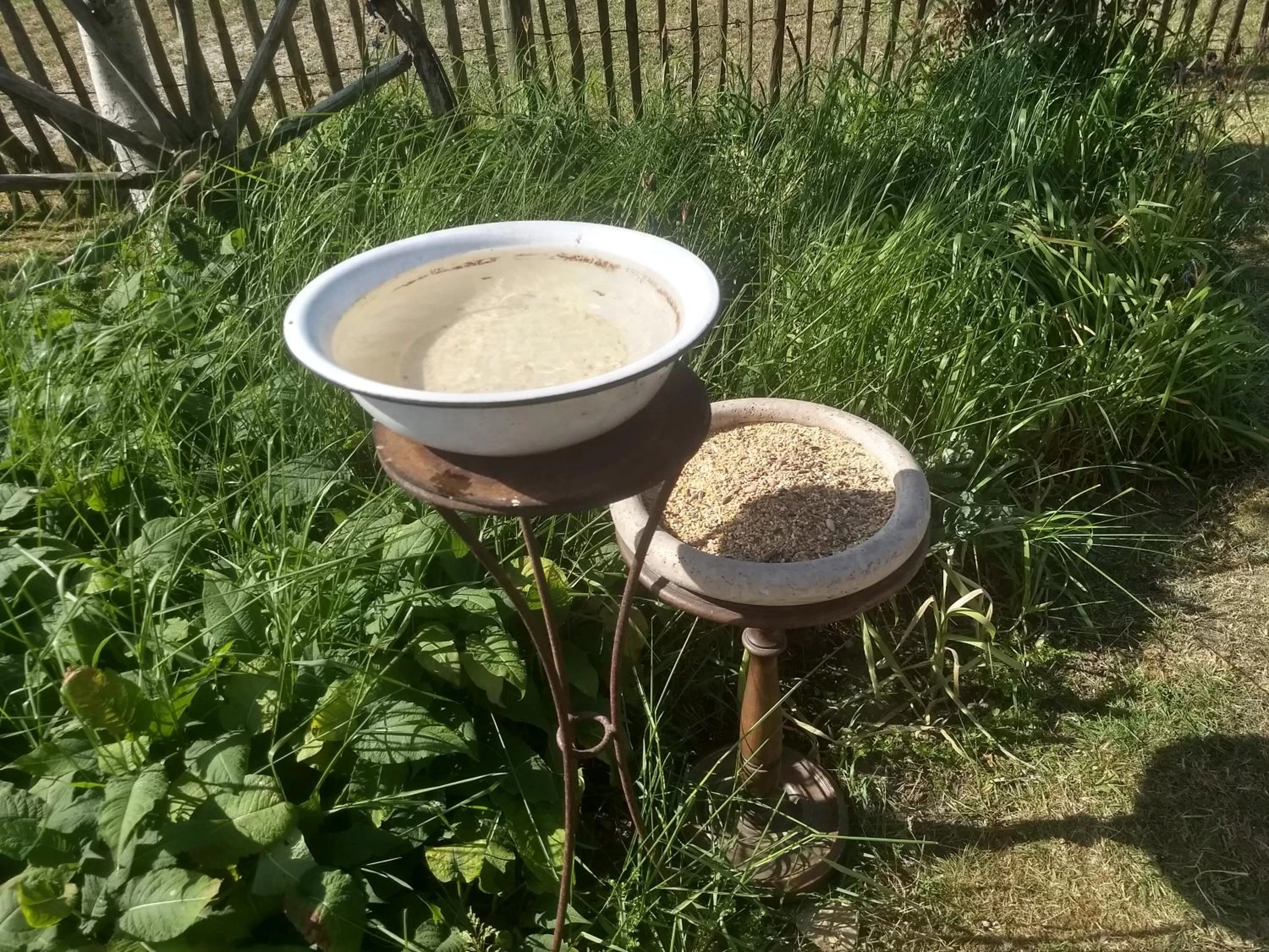 Animals in B&B De Vossenbarm