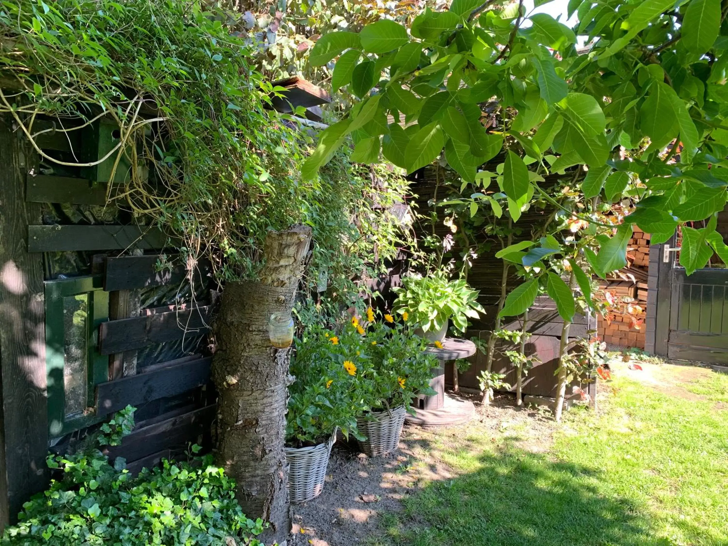 Garden in B&B 't Pakhuis