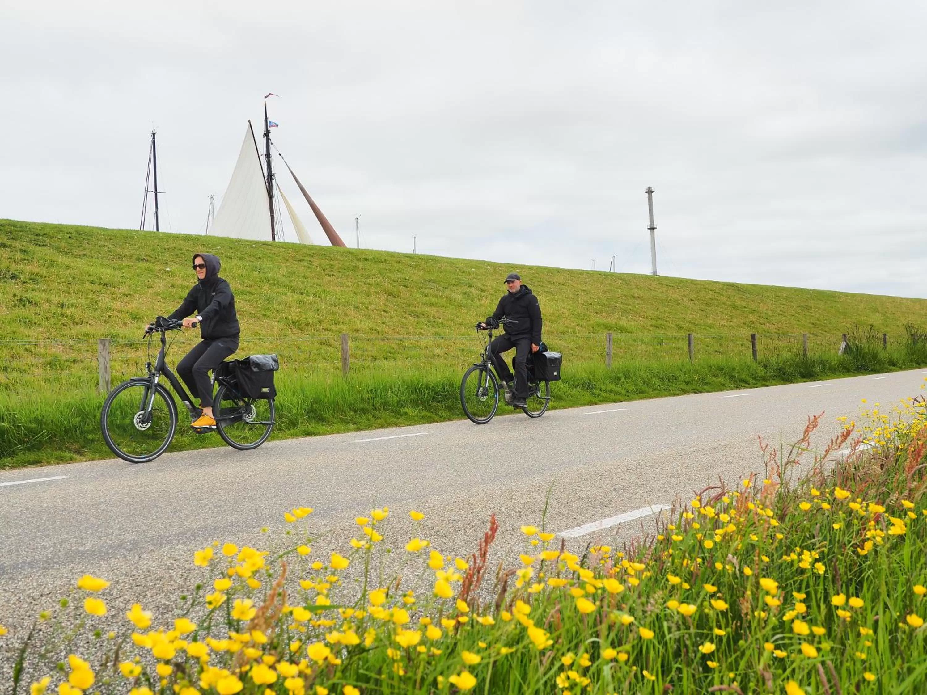 Cycling in Hotel Workum