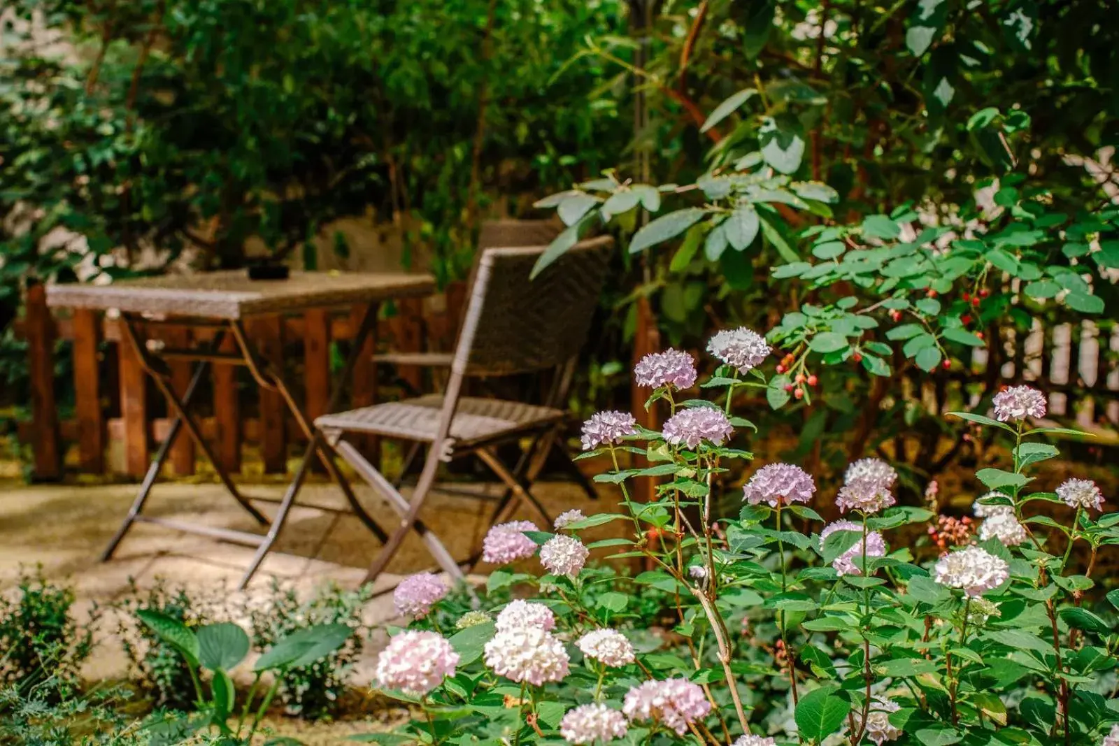 Garden in Hotel NOIR