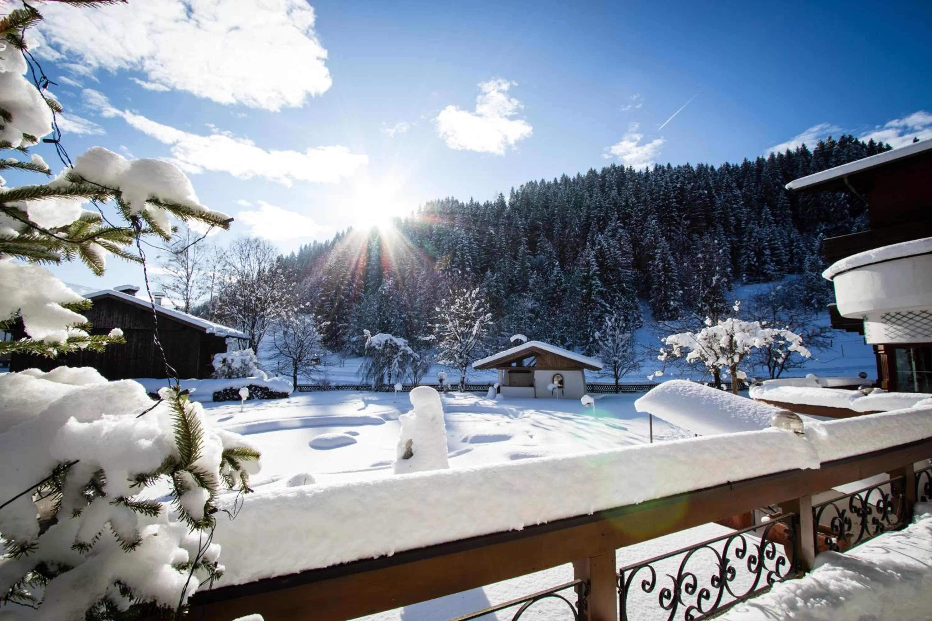 Day in Hotel Haflingerhof