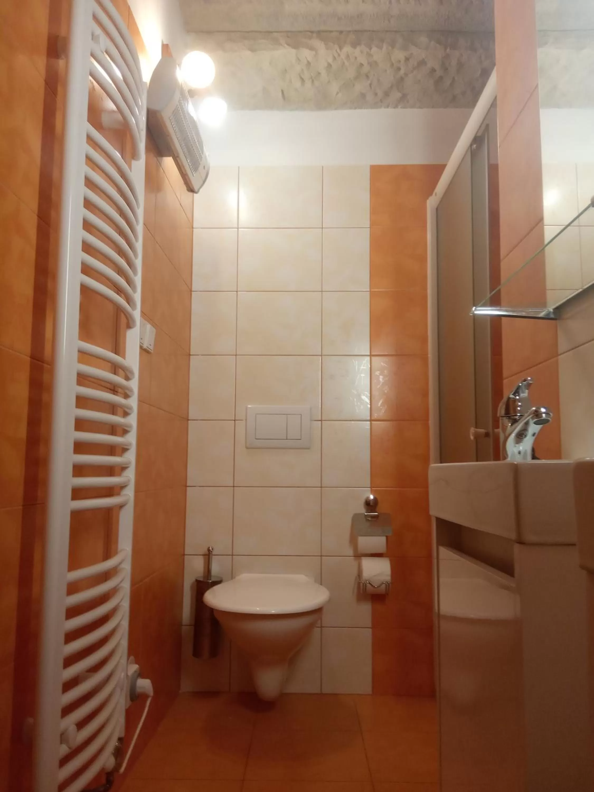 Toilet in Pension Fontána Svitavy