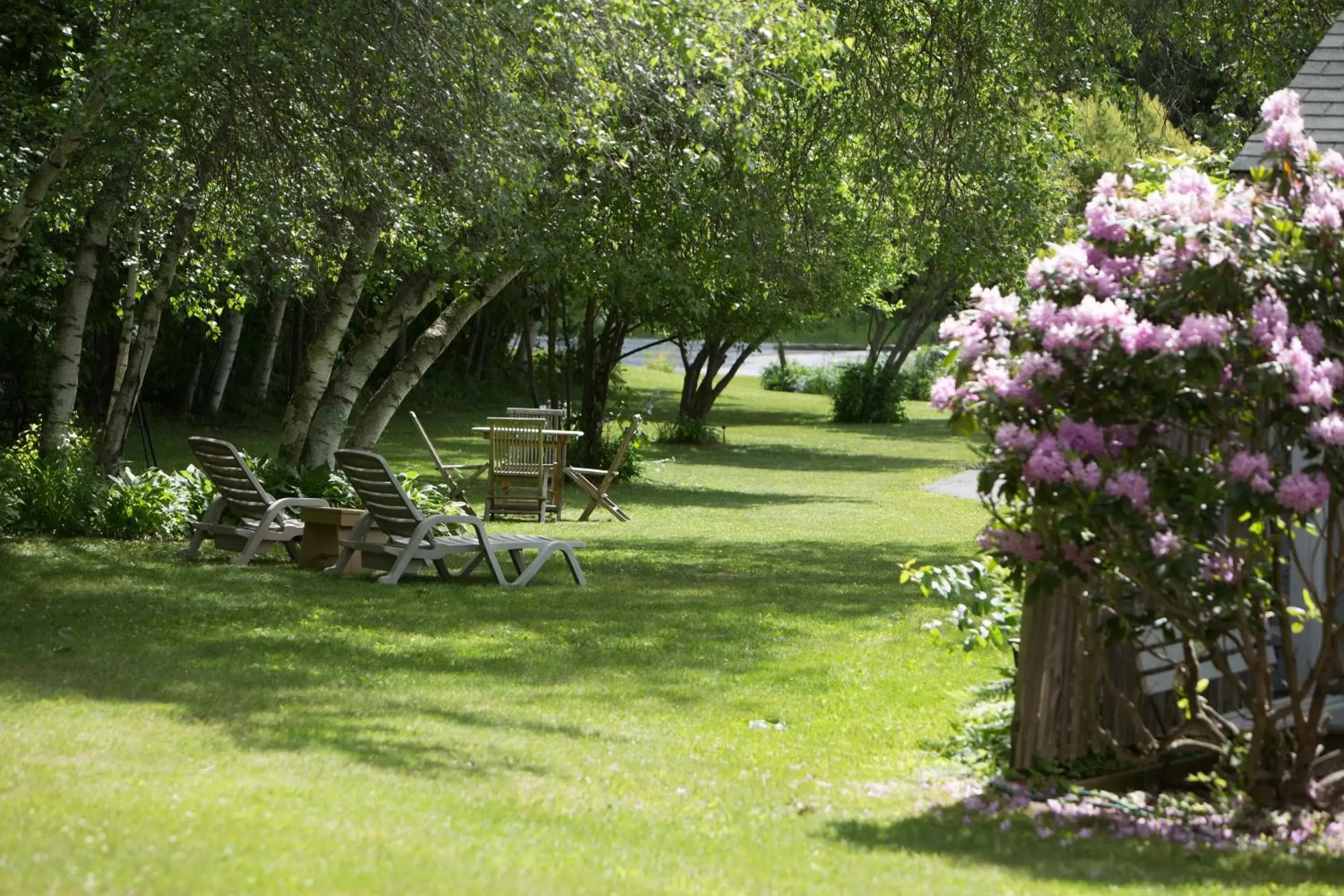 Garden in Governor's Rock Motel