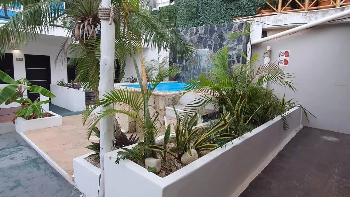 Pool View in "5TH AVENUE" Beach Energy Hotel "by BFH"