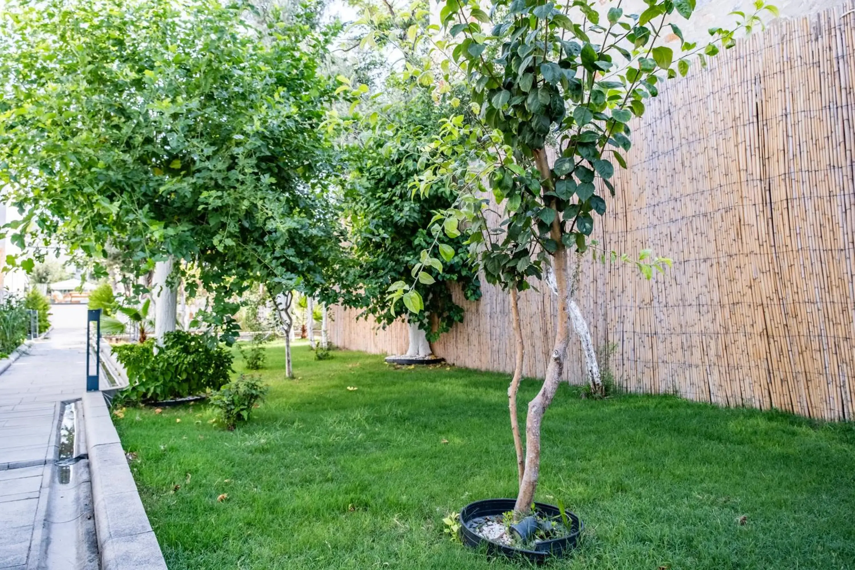 Garden in Costa Maya Bodrum