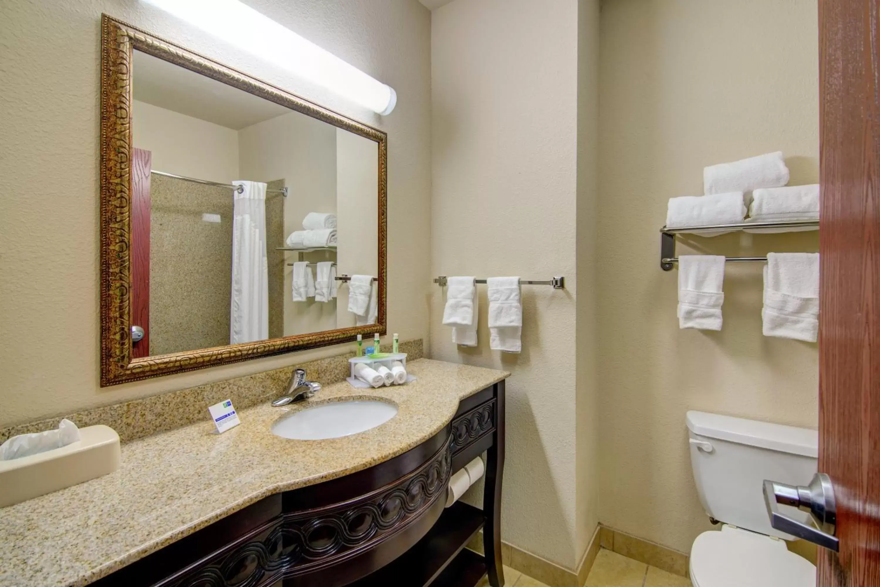 Bathroom in Holiday Inn Express Hotel & Suites Terrell, an IHG Hotel