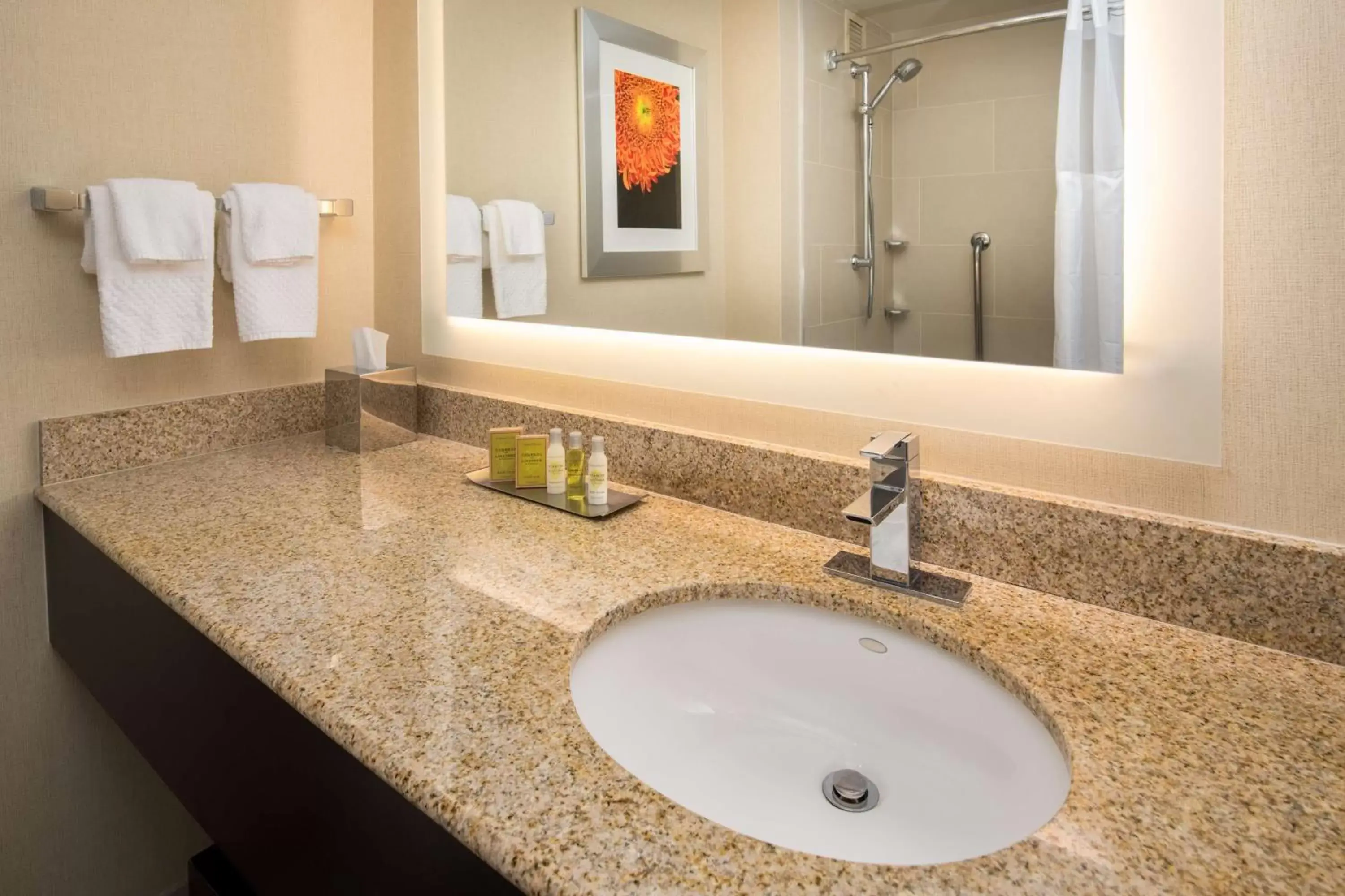 Bathroom in DoubleTree by Hilton San Francisco Airport