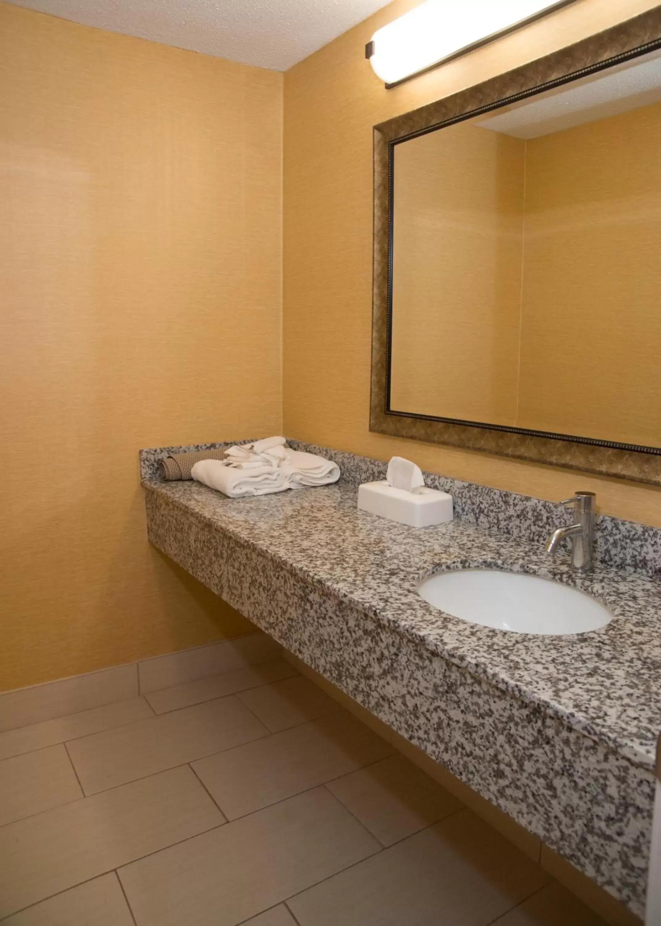 Bathroom in Hampton Falls Inn