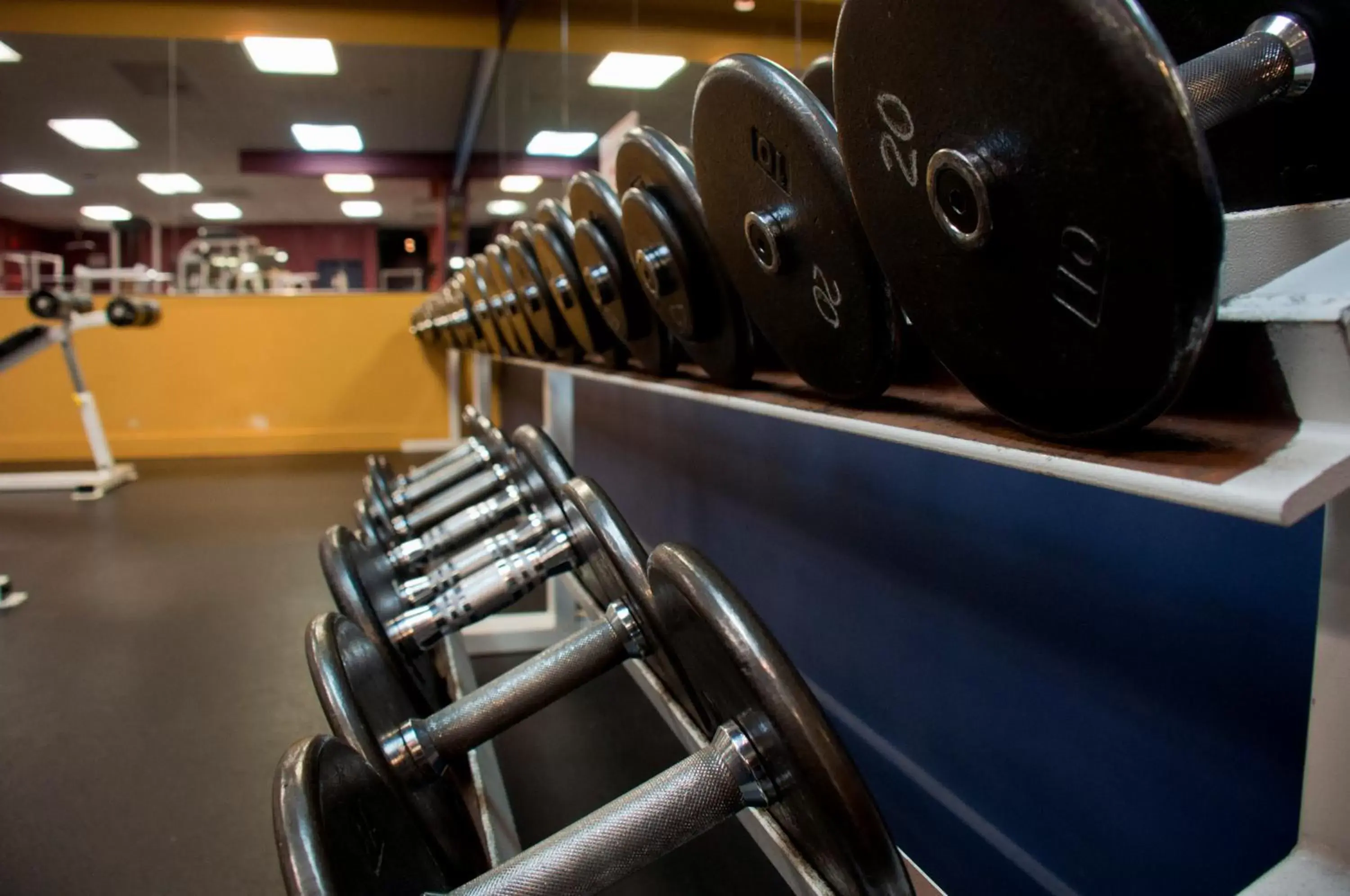 Fitness centre/facilities in Radisson Hotel & Suites Red Deer