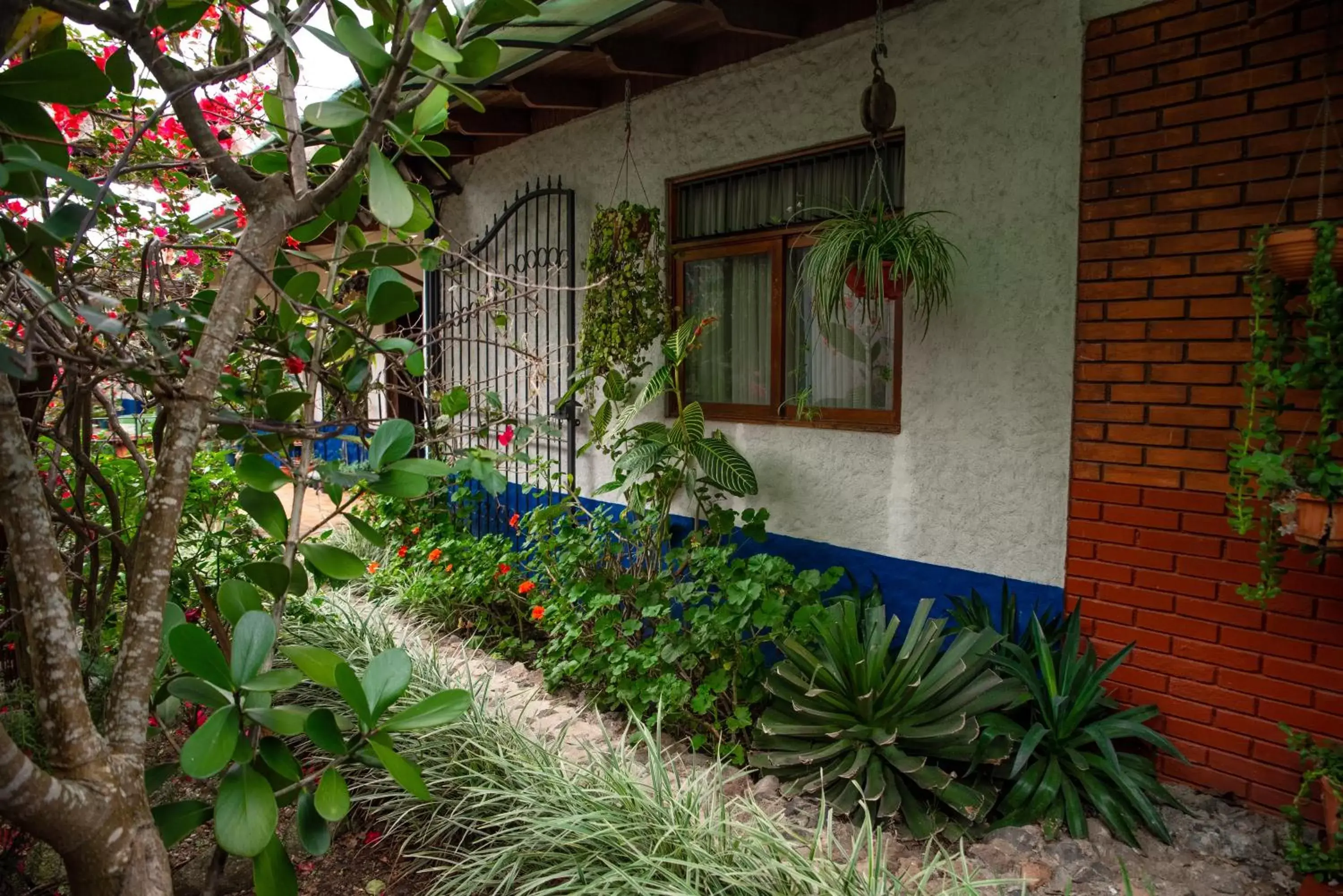 Property Building in La Casa de Mamá Coyita