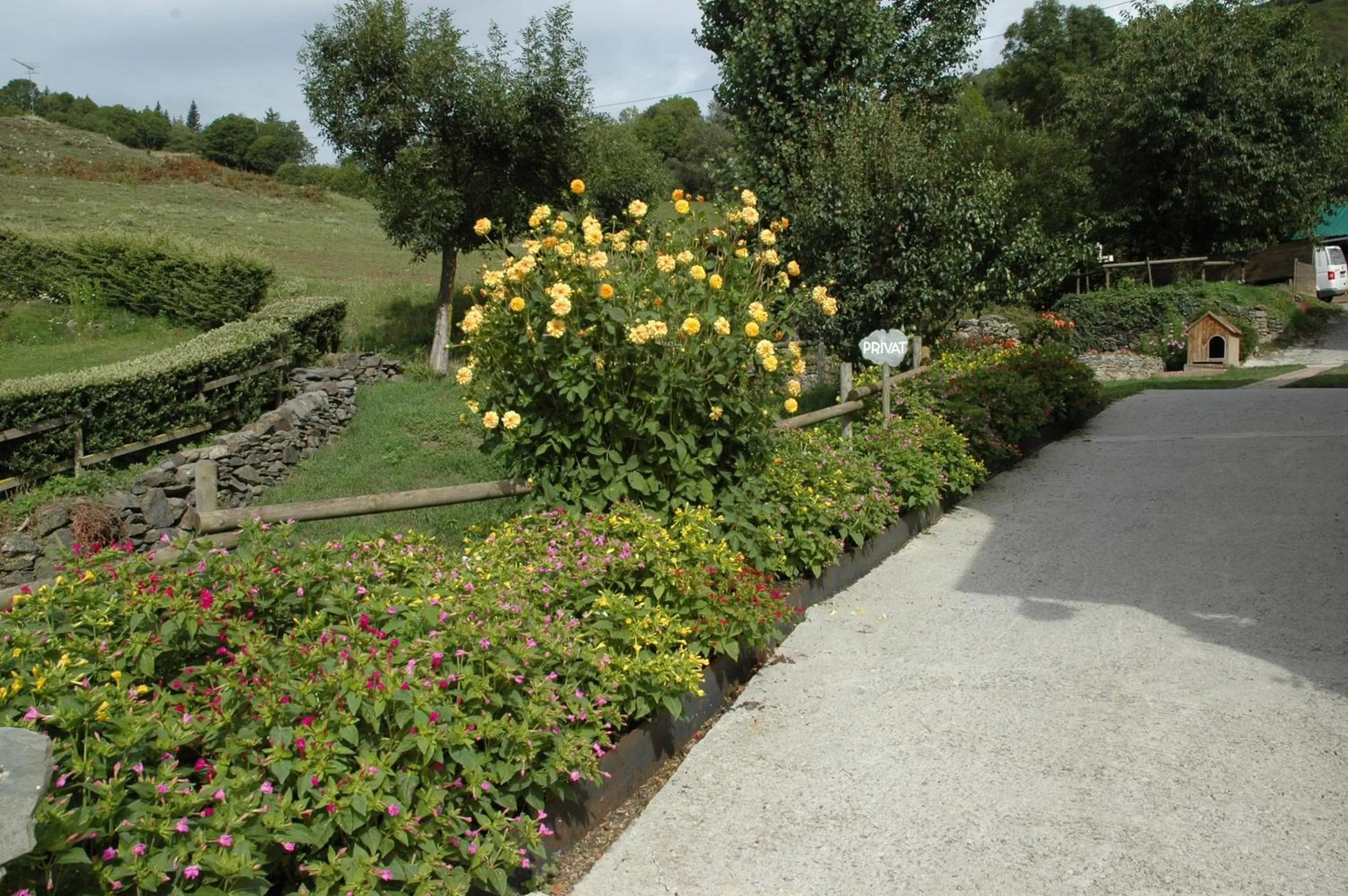 Garden view in Hotel Cruells