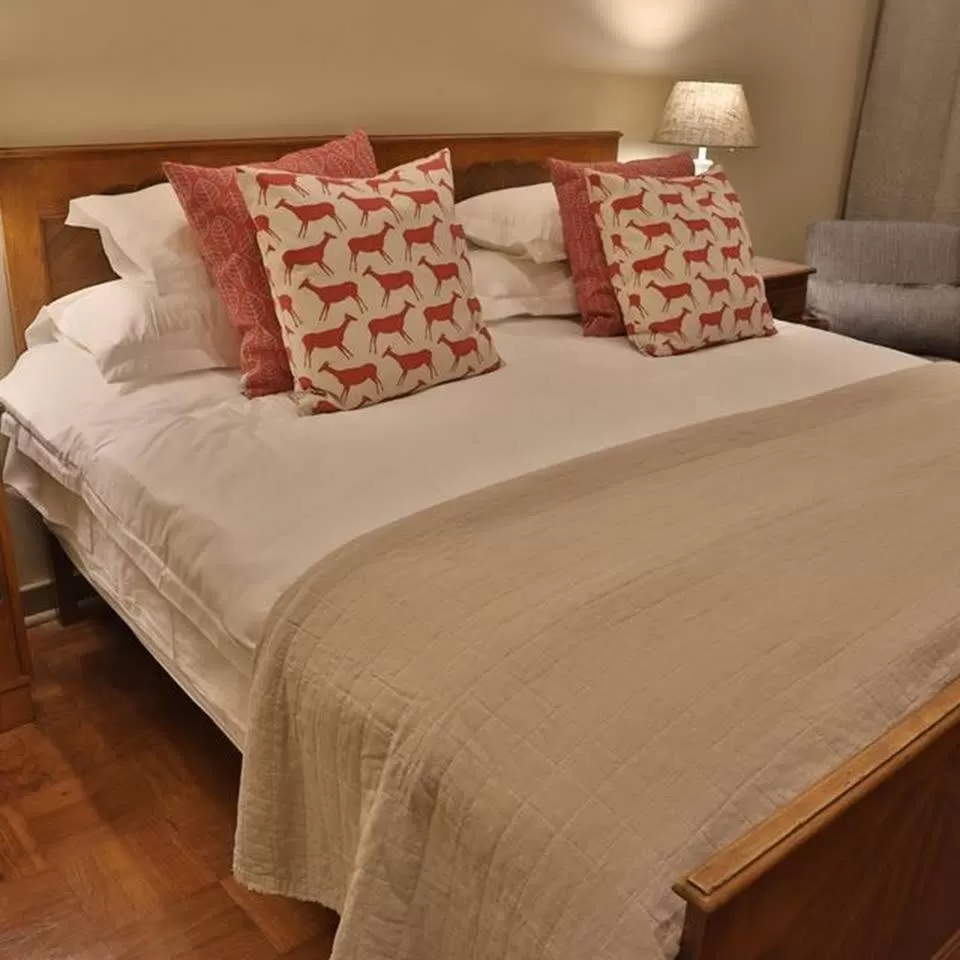 Deluxe Double Room - single occupancy in Ben's Bed and Breakfast