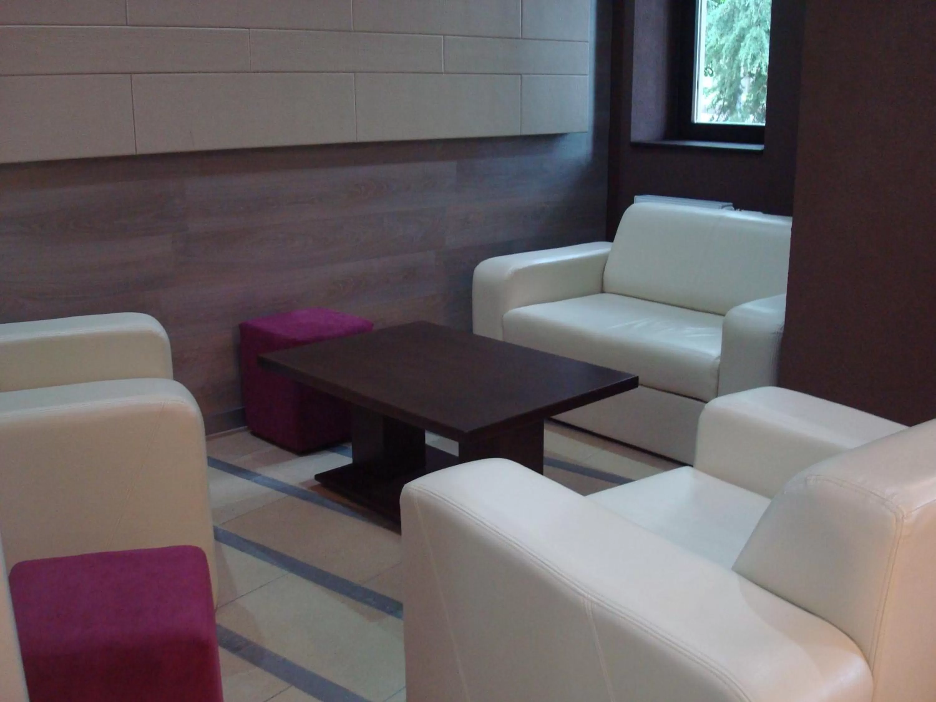 Communal lounge/ TV room in Hotel Fürdőház