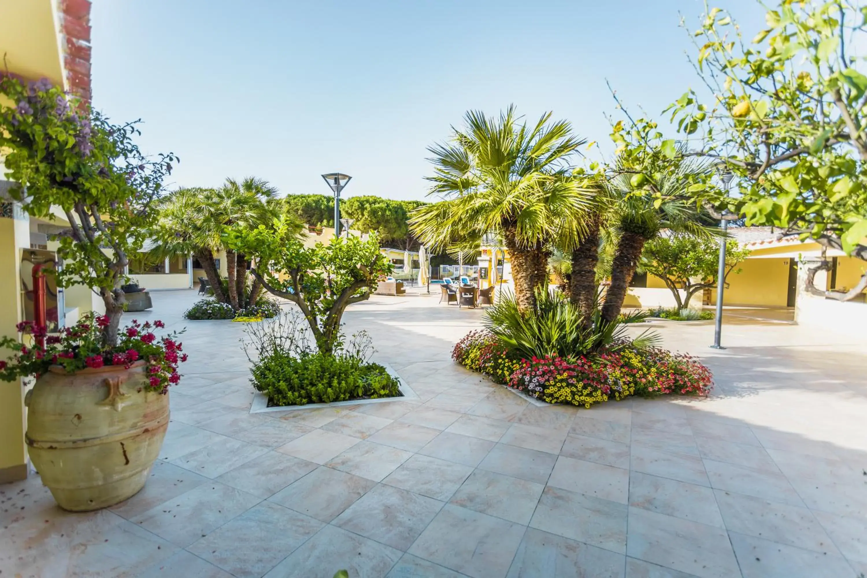 Garden in Hotel Fiore Di Maggio