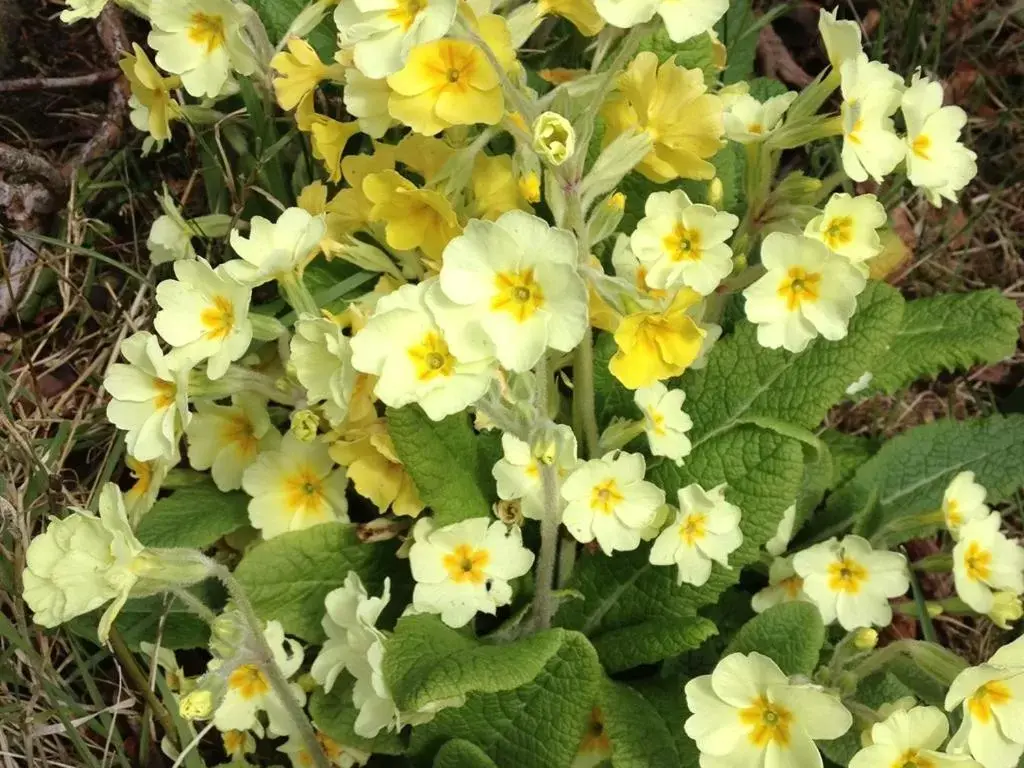 View (from property/room) in Lisnafillan Lodge View (from property/room) in Lisnafillan Lodge