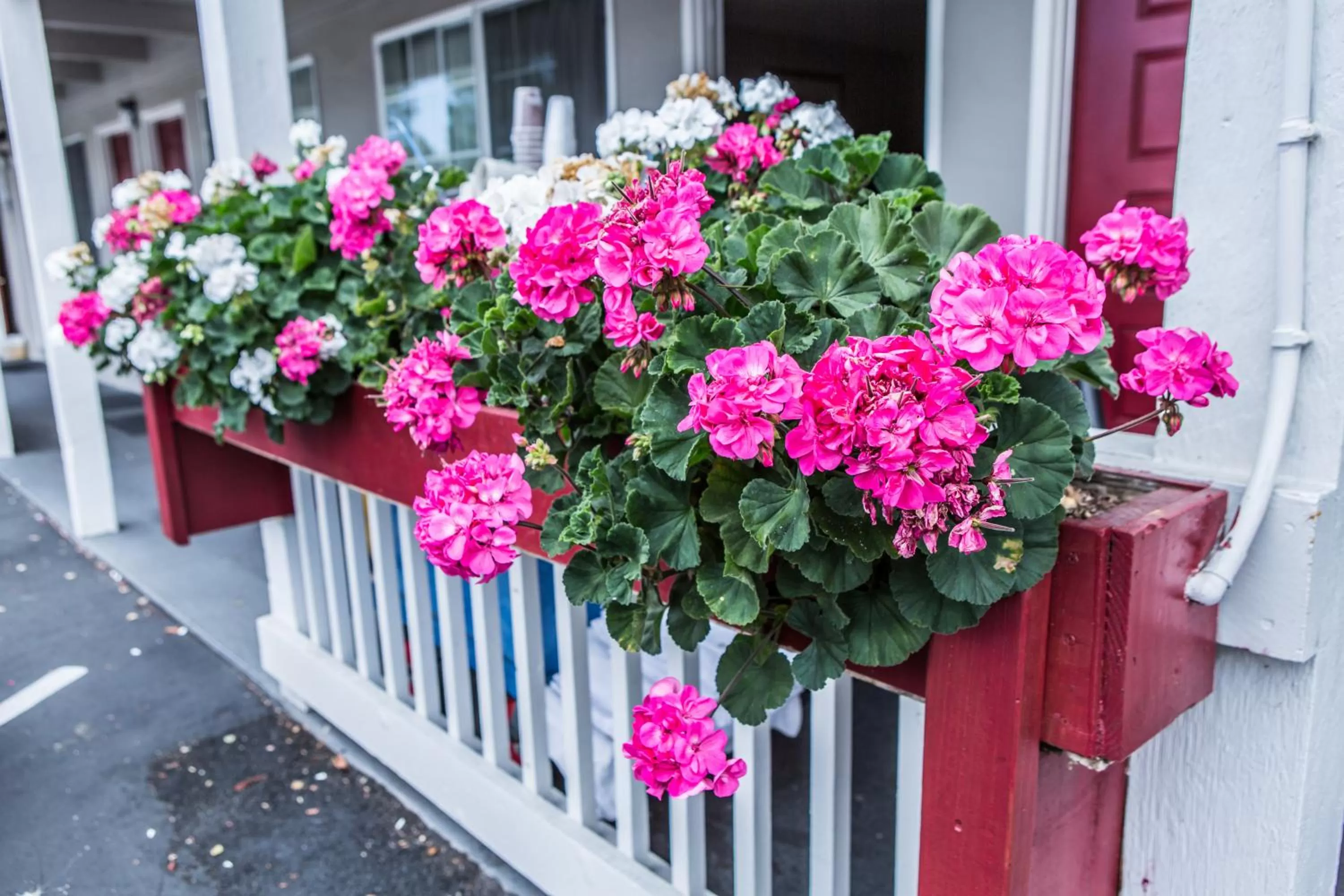 Decorative detail in Pelican Inn