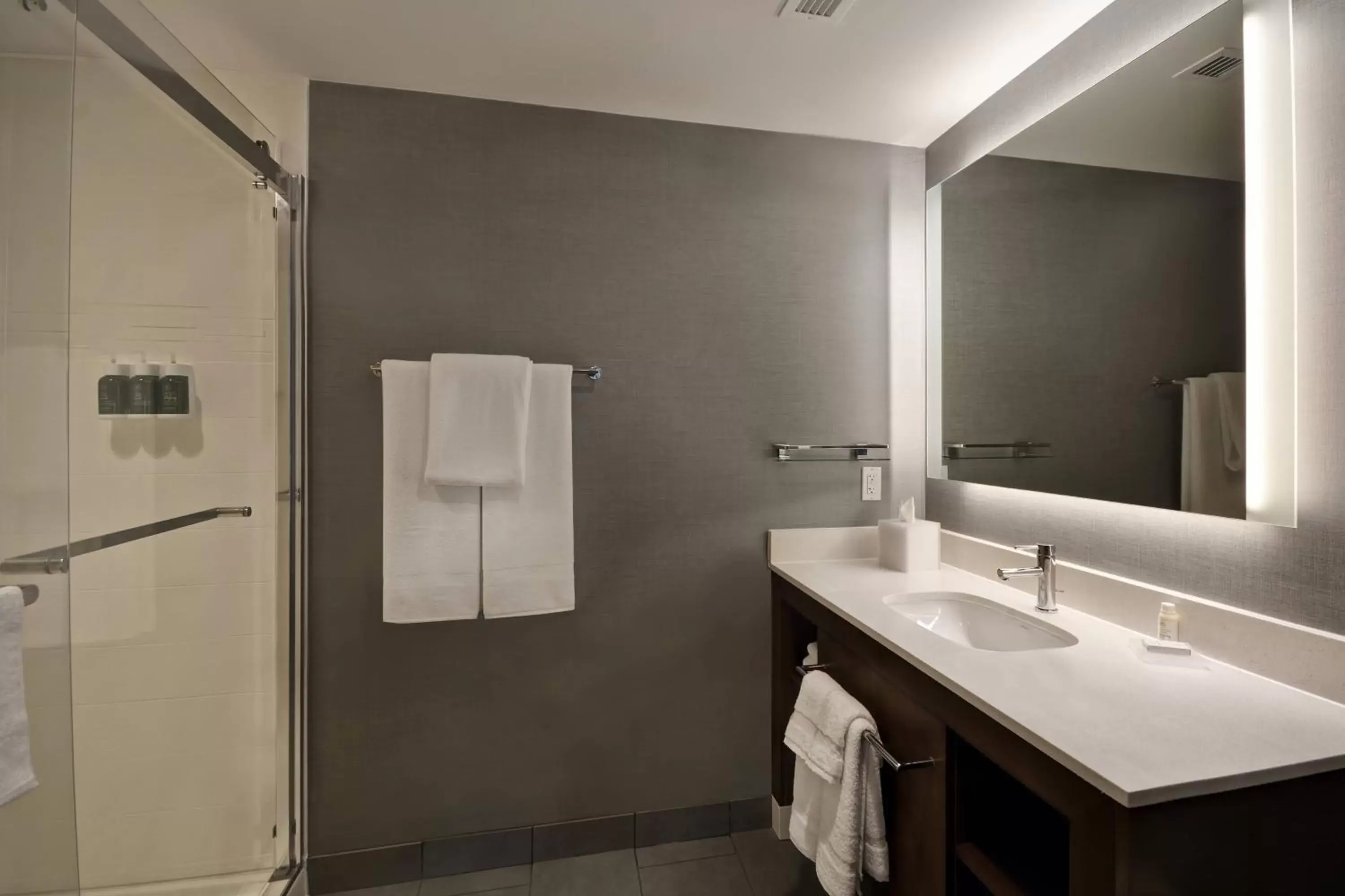 Bathroom in Residence Inn by Marriott New Orleans French Quarter Area/Cen B