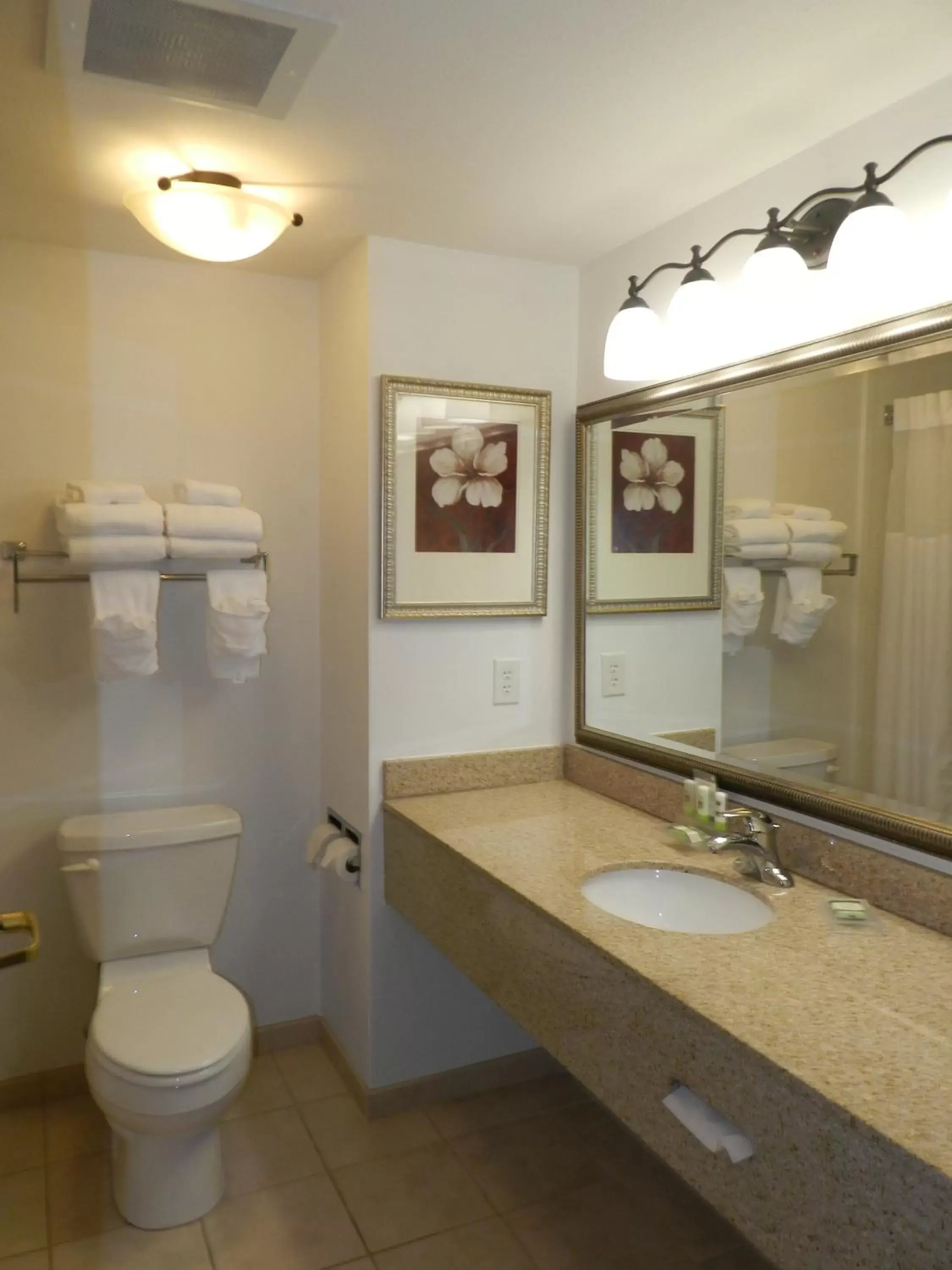 Studio Suite with Two Queen Beds - Disabililty Access/Non-Smoking in Country Inn & Suites by Radisson, Braselton, GA