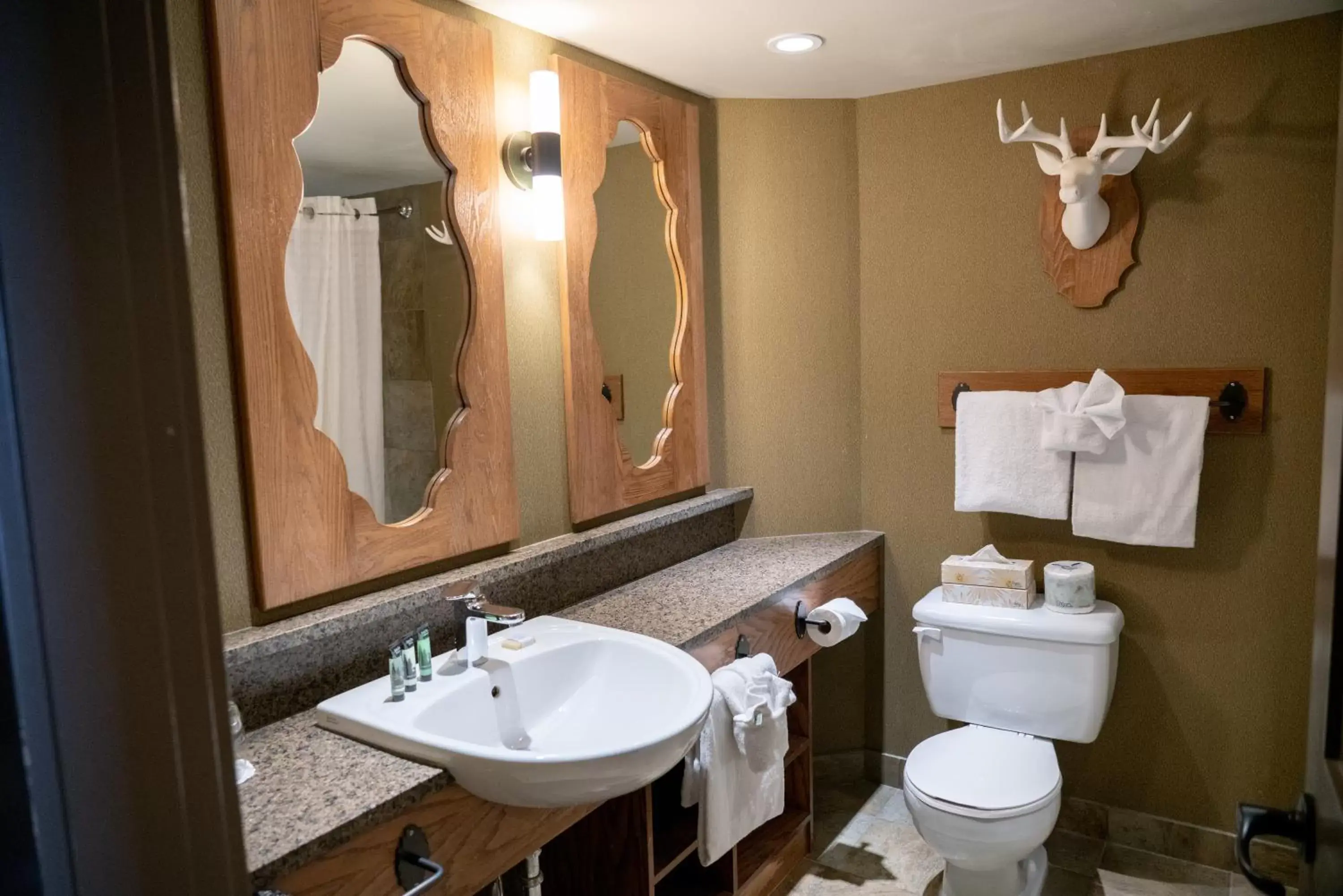 Bathroom in Banff Caribou Lodge and Spa