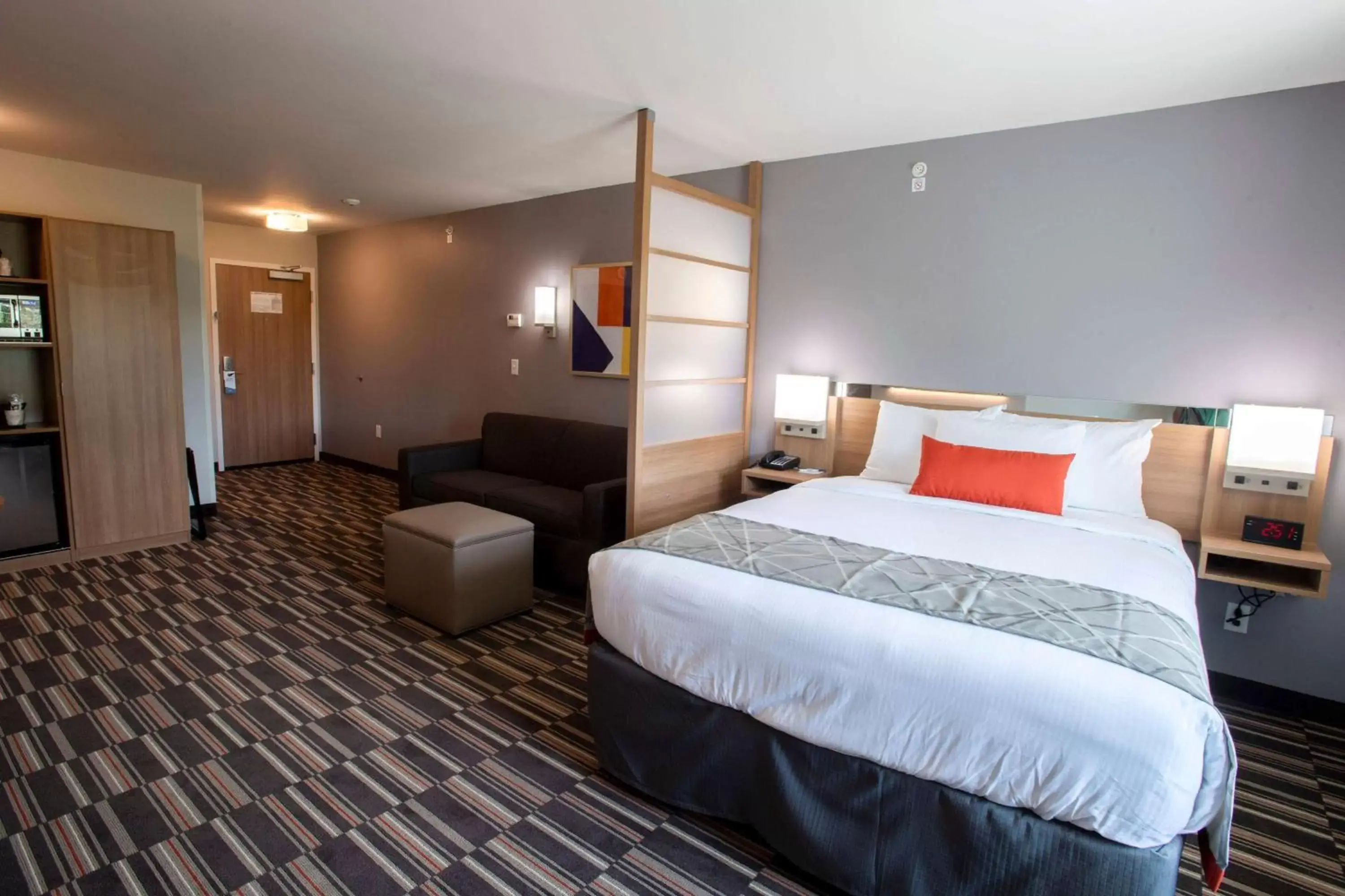 Photo of the whole room, Bed in Microtel Inn & Suites by Wyndham Amsterdam