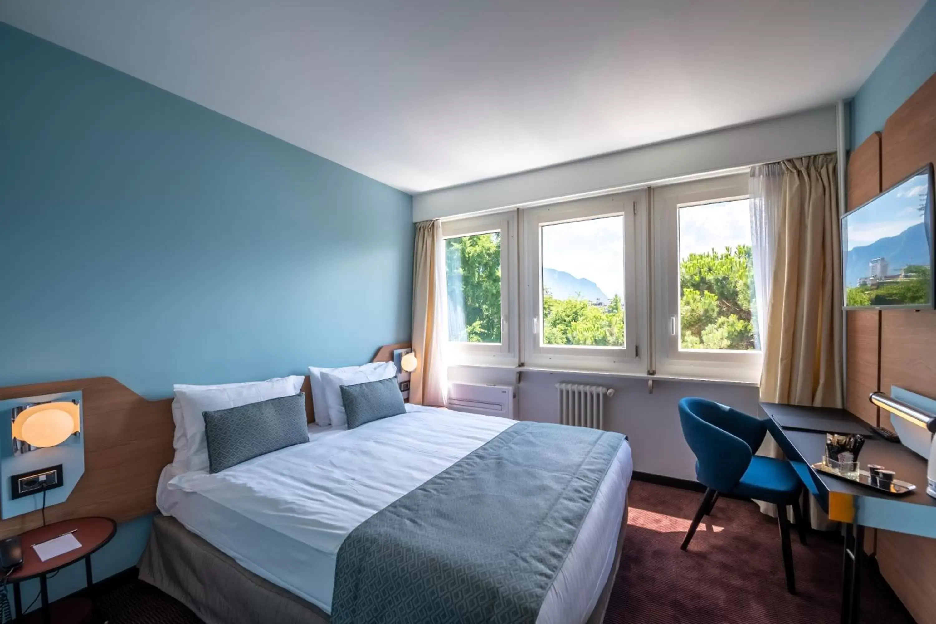 Small Standard Room- Partial lake view in Eurotel Montreux