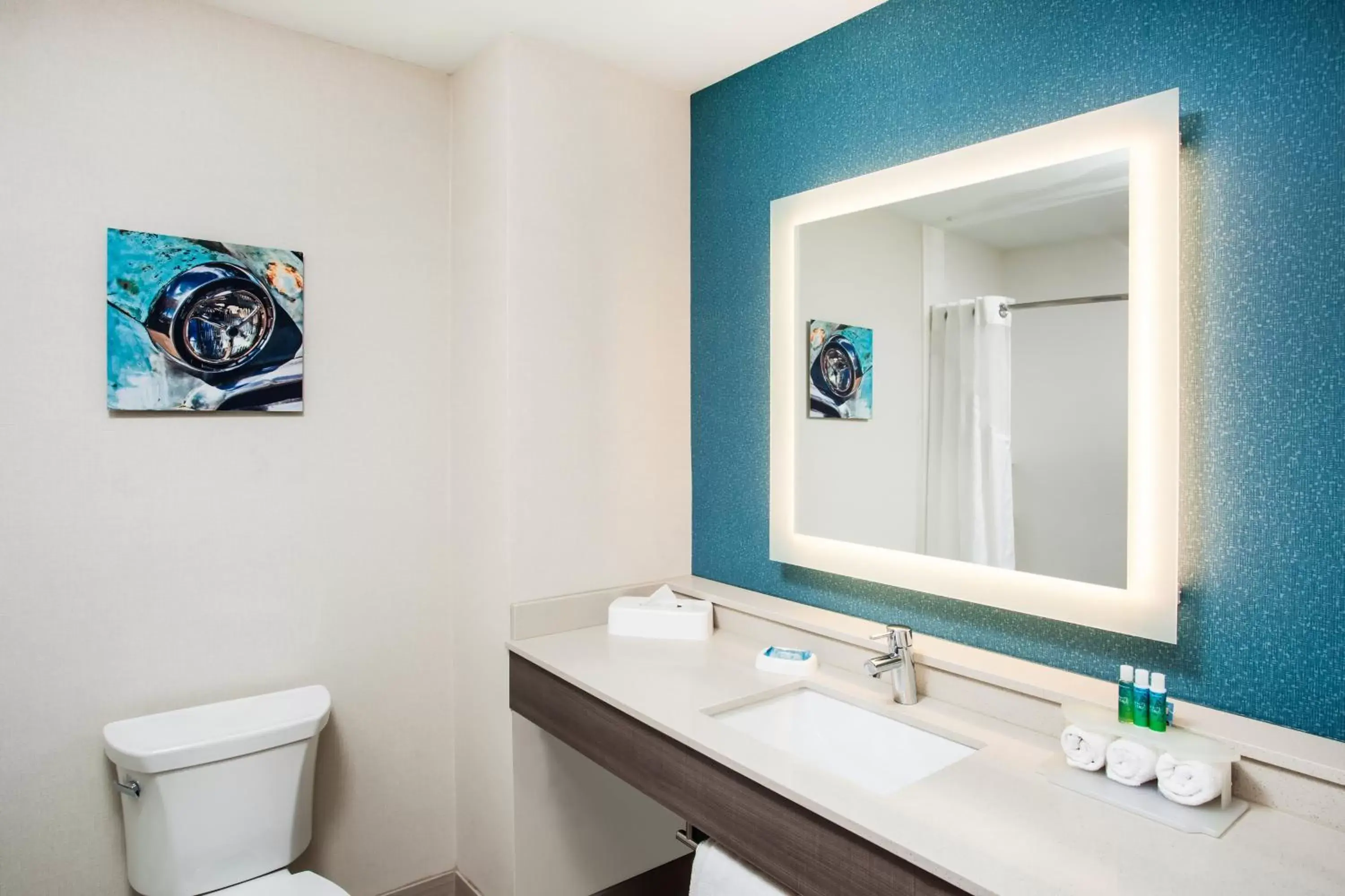 Bathroom in Holiday Inn Express & Suites Litchfield, an IHG Hotel
