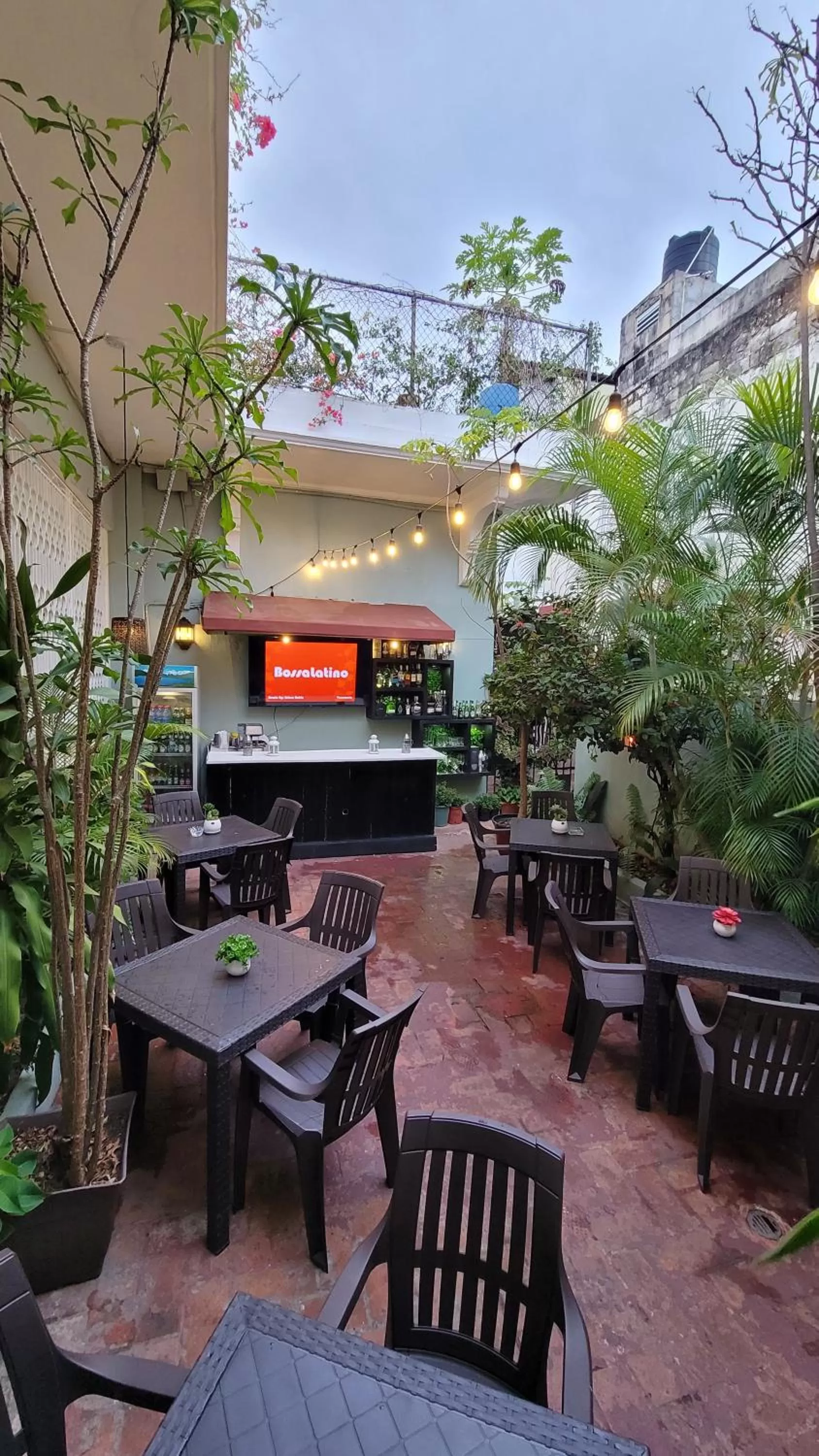 Garden in Hotel Class Colonial