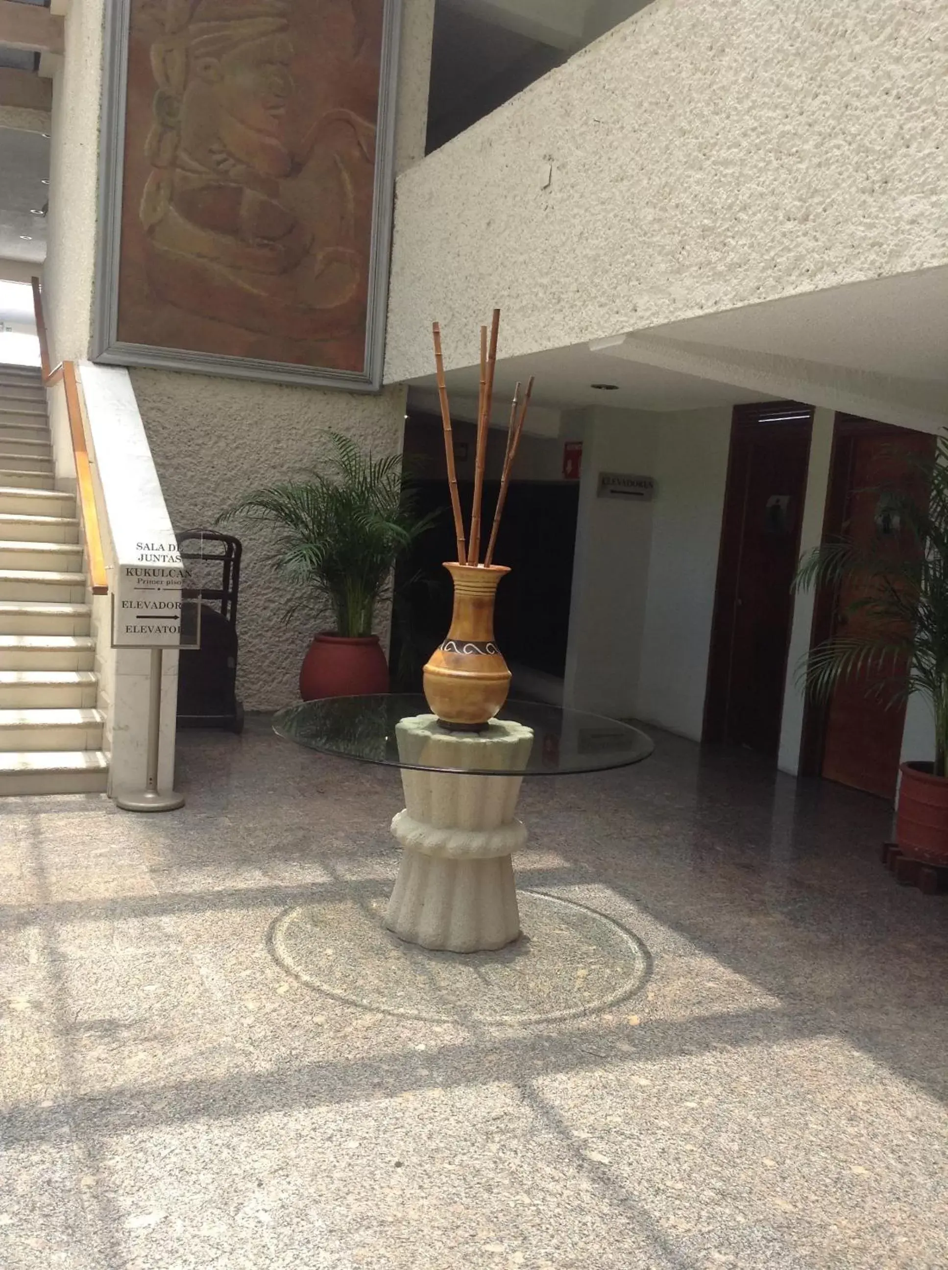 Area and facilities in Hotel Los Aluxes