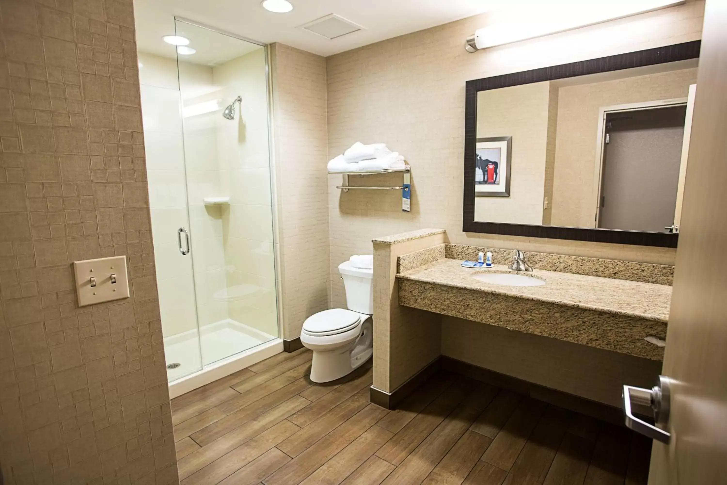 Bathroom in Fairfield Inn & Suites by Marriott Moscow