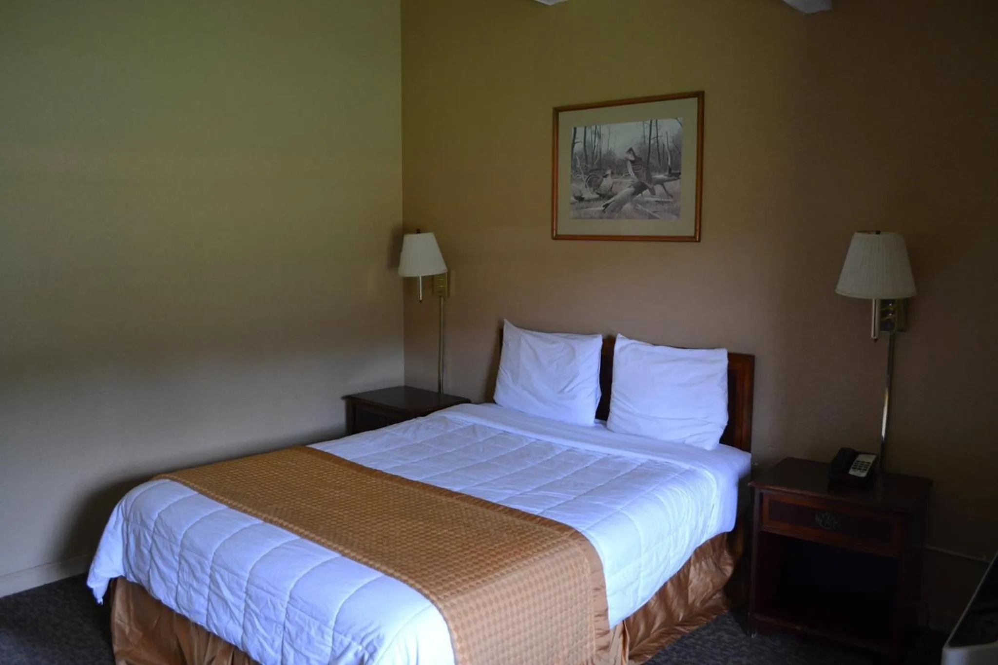 Property building, Bed in Americas Best Value Inn Smithfield