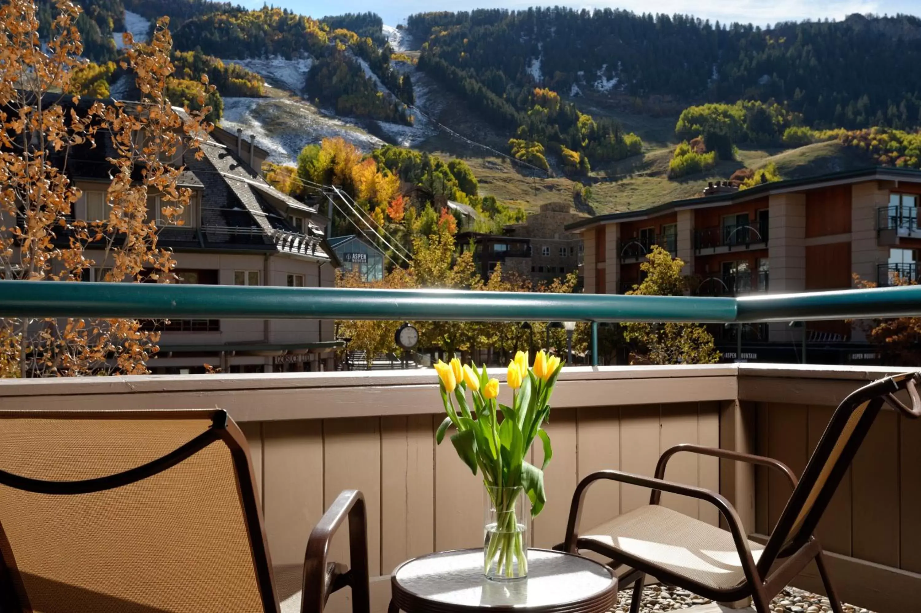 Patio, Balcony/Terrace in Aspen Square Condominium Hotel