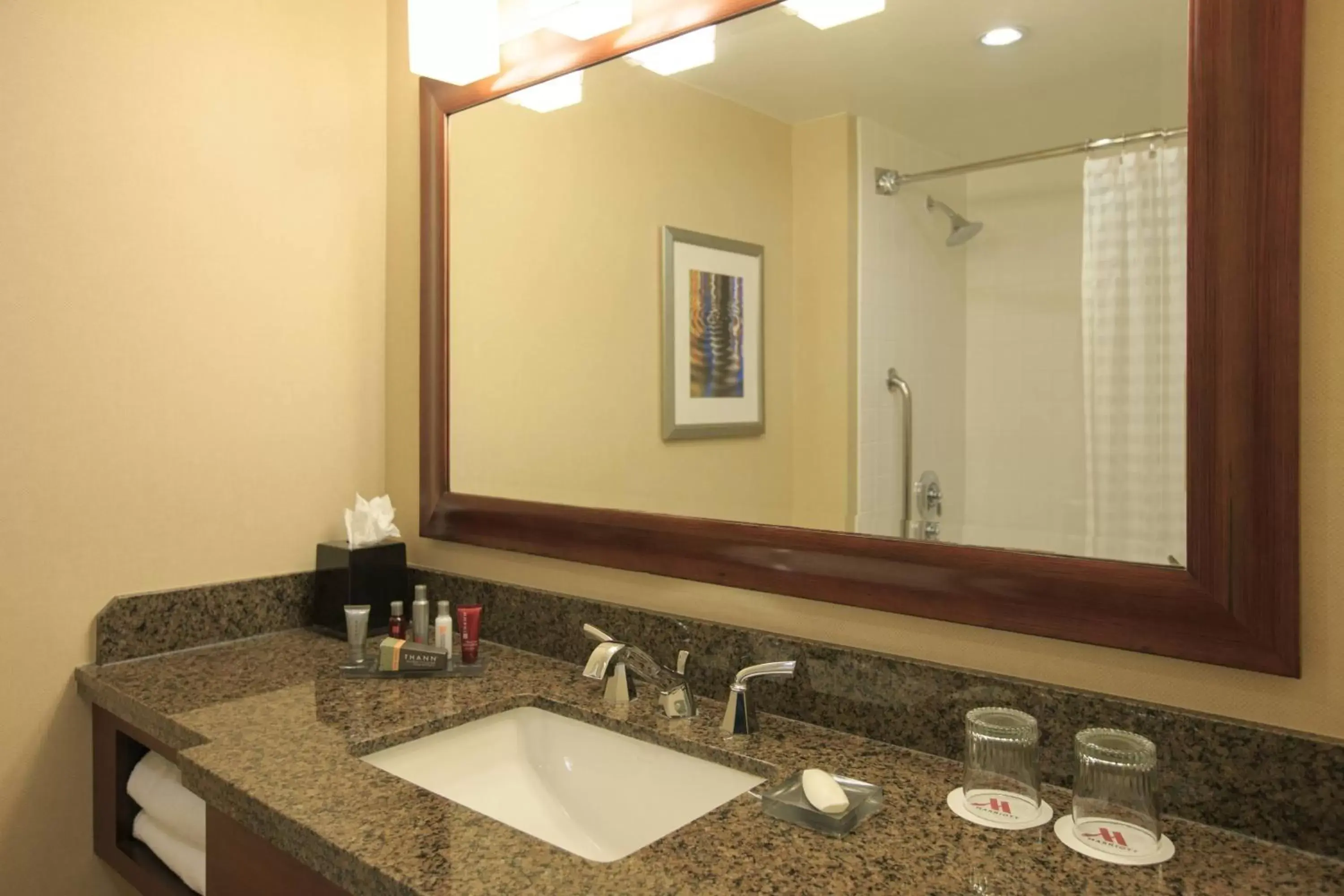 Bathroom in Gaithersburg Marriott Washingtonian Center