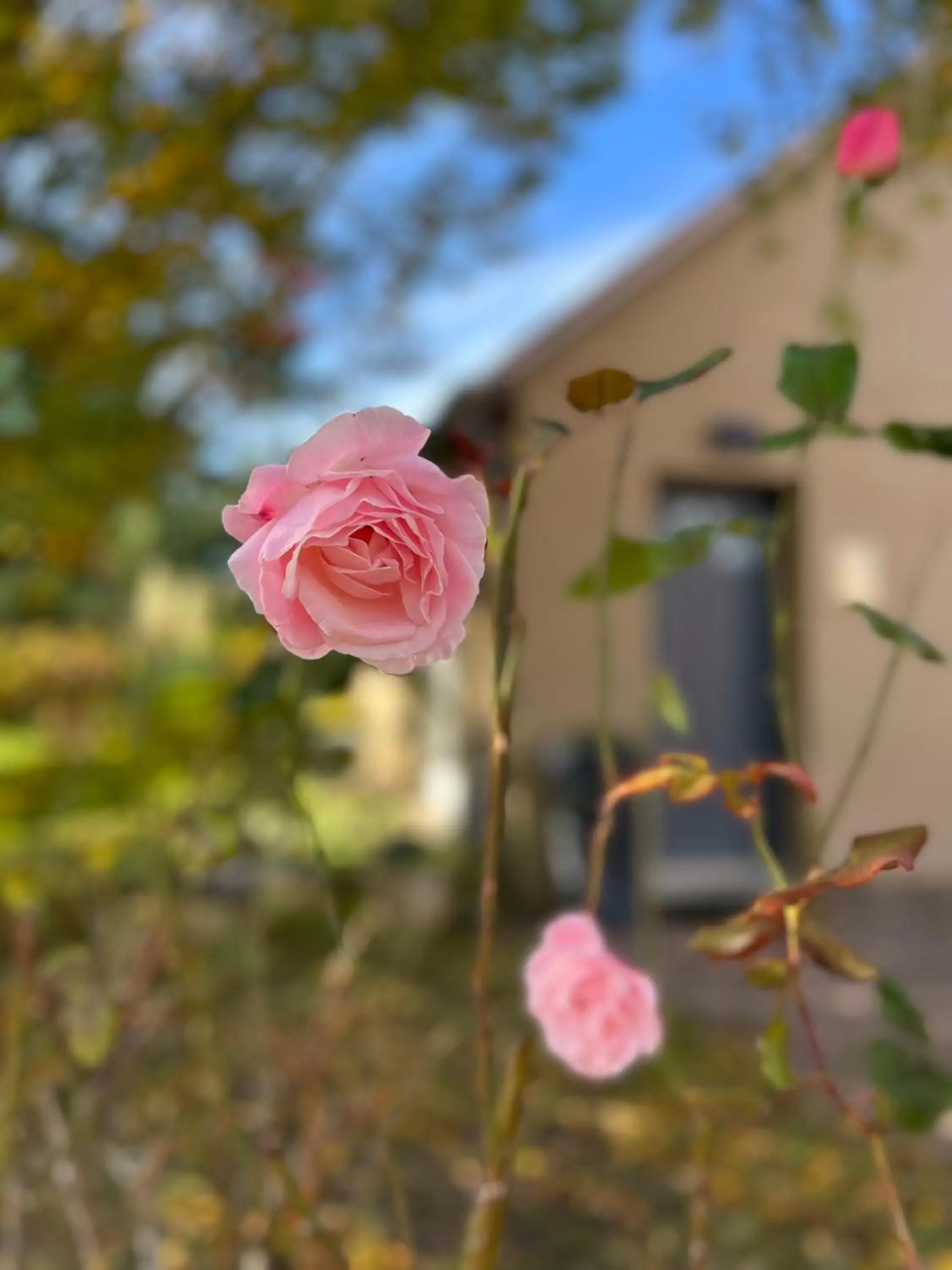 Garden view in GSand Le Clos du May