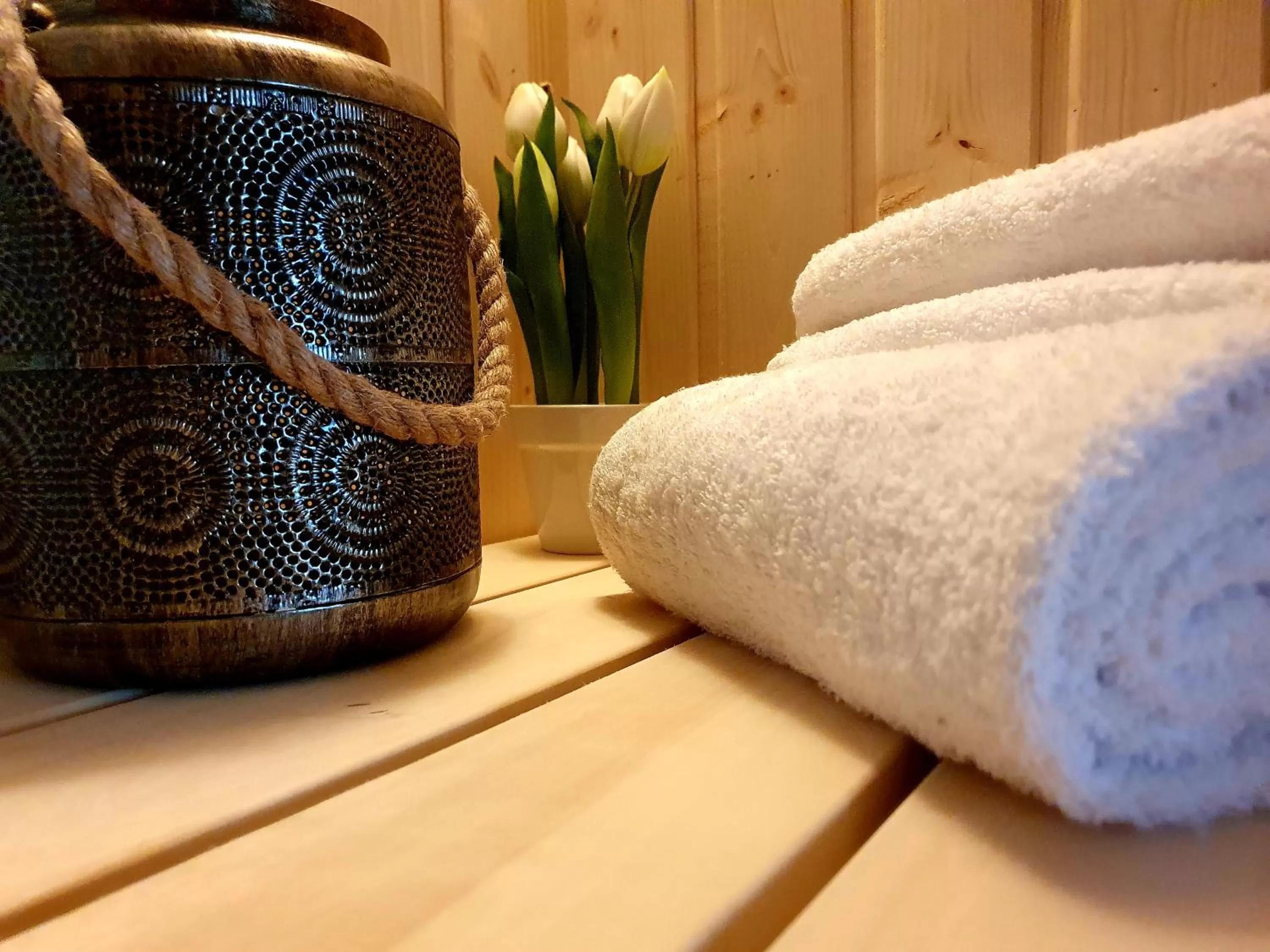 Bagoly Wellness Apartman