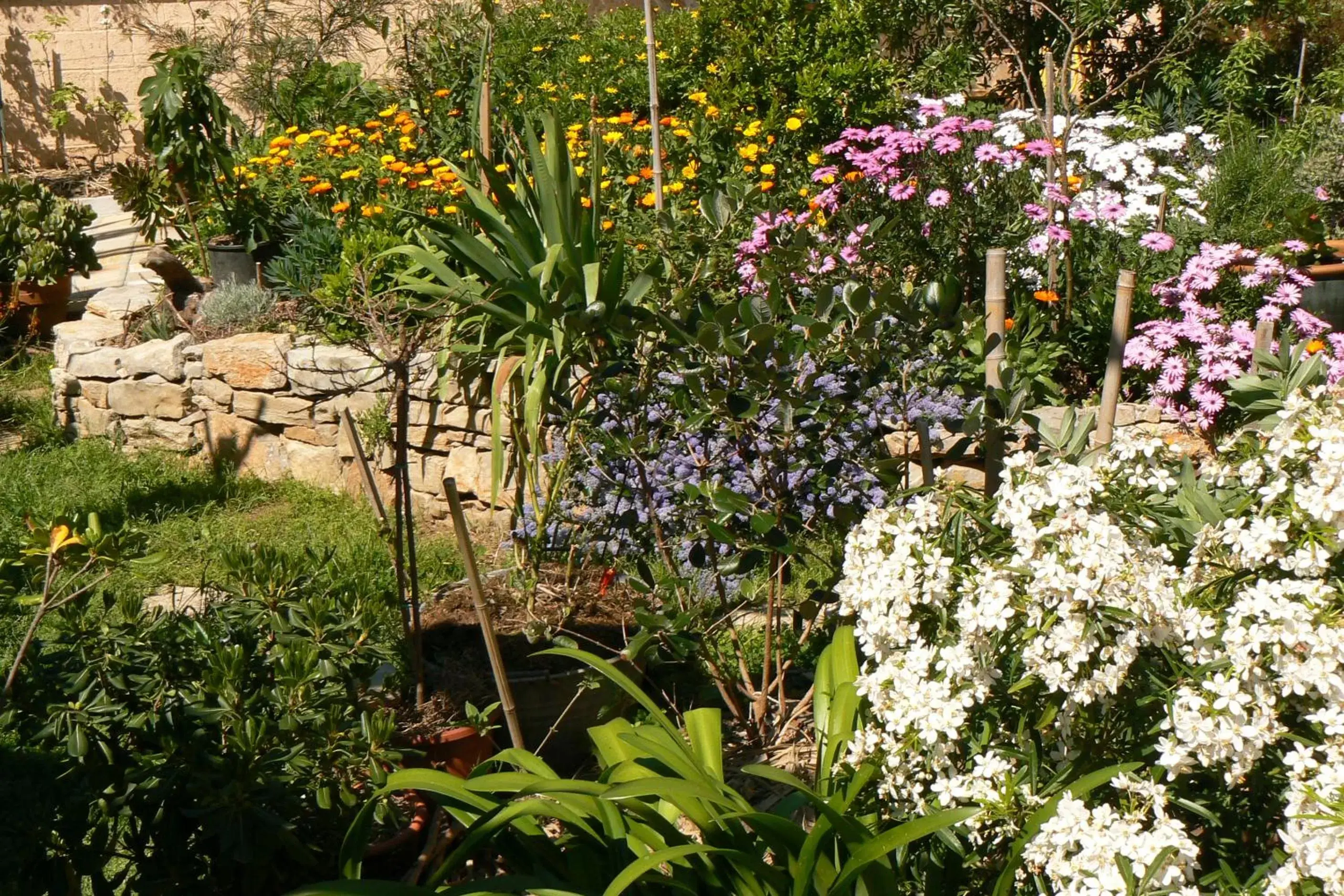 Garden view, Garden in L' Escale Tranquille